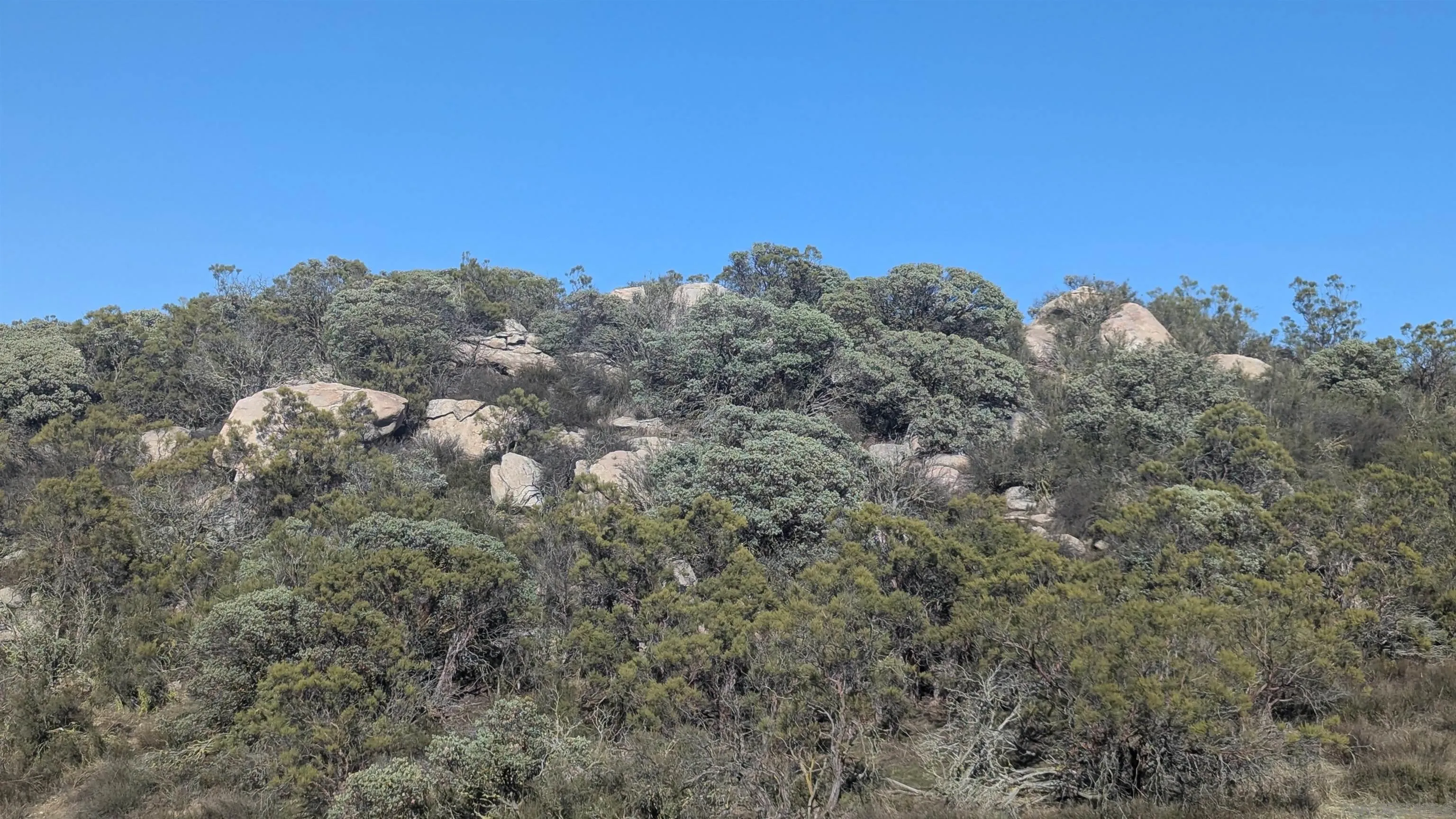 778 Lot On Crazy Horse Canyon Unit 778, Aguanga, CA 92536 - Photo 5 of 8, Aguanga, CA