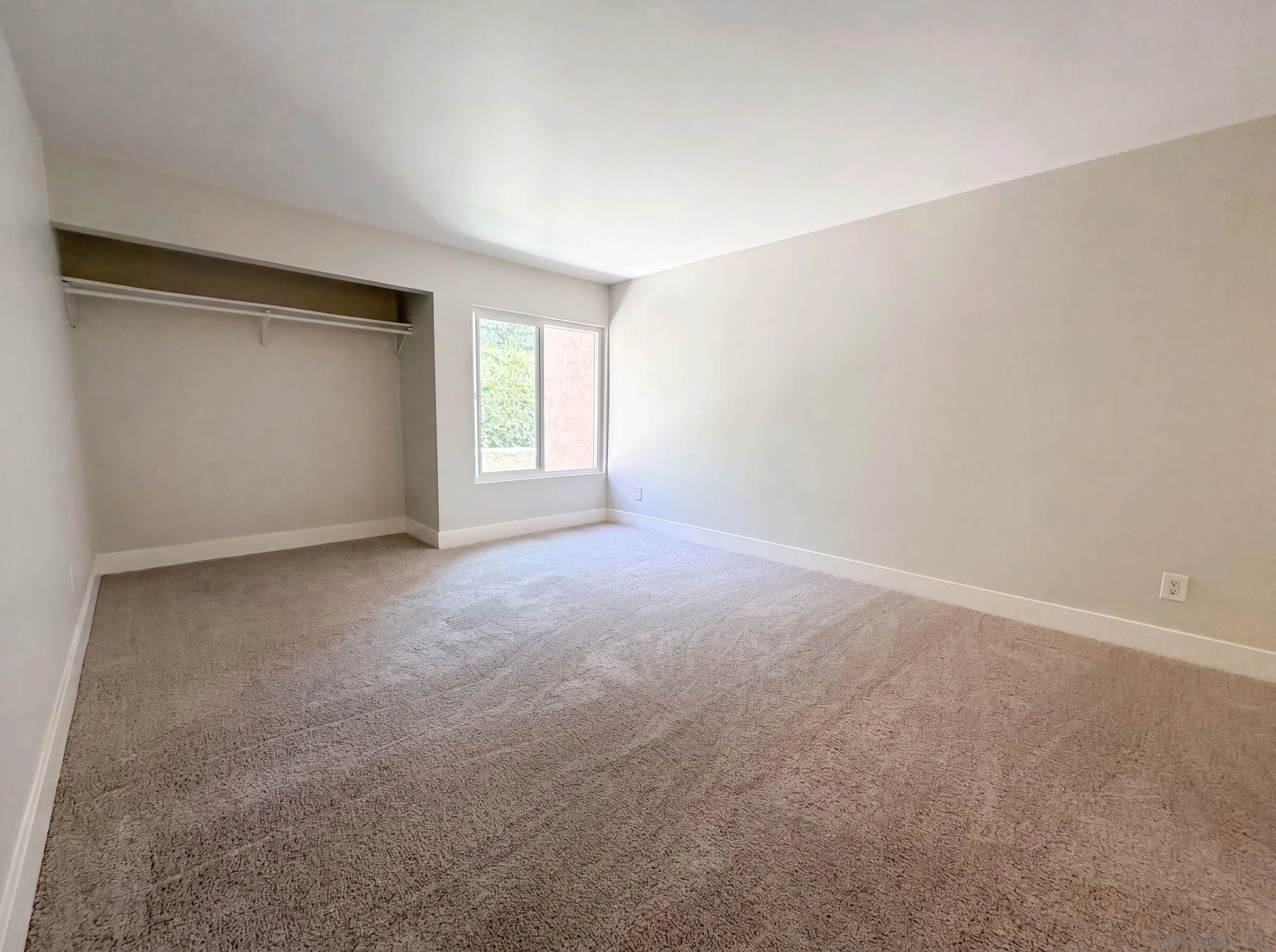 Photo #6: 260015778 Listing: Photo #6