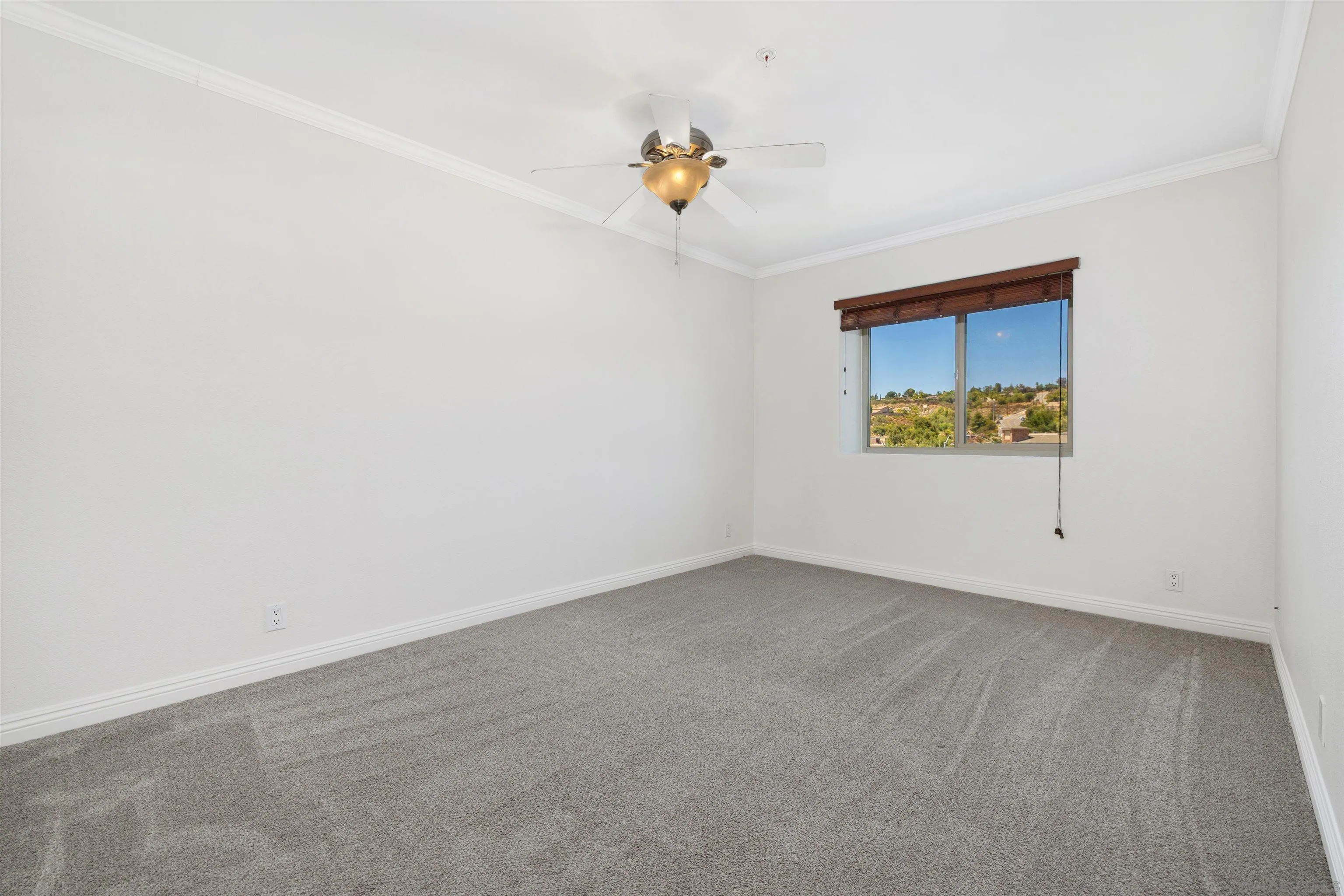 Photo #17: 260015930 Listing: Photo #17