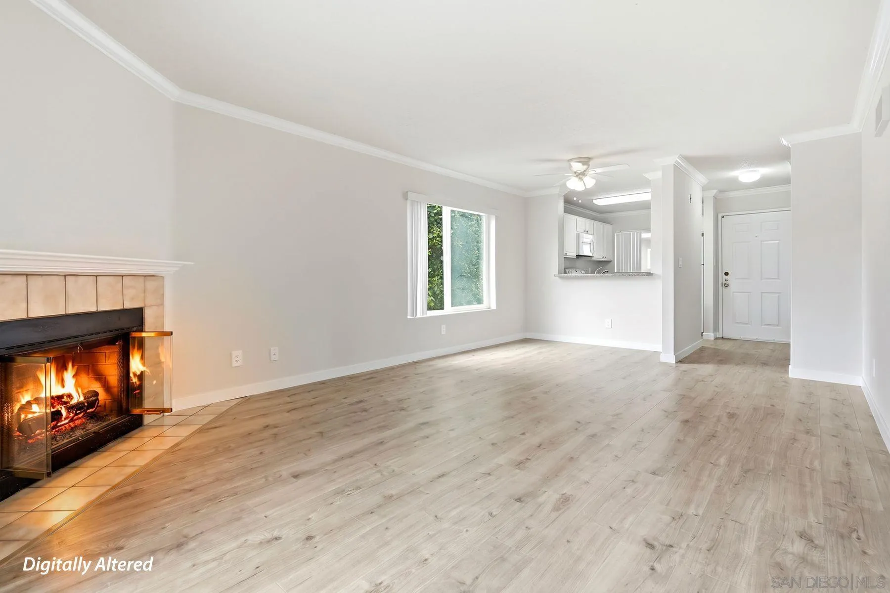 Photo #5: 260016039 Listing: Photo #5