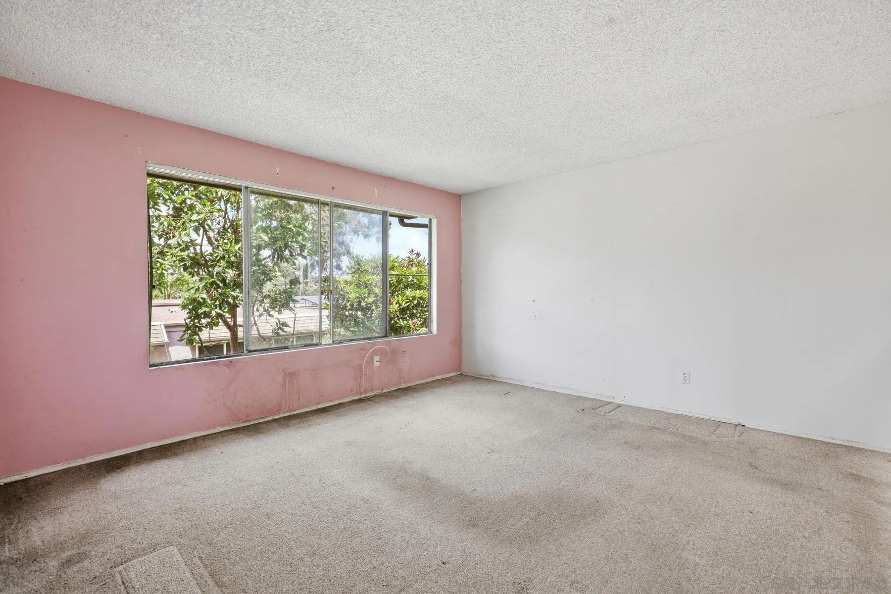 Photo #17: 260016079 Listing: Photo #17