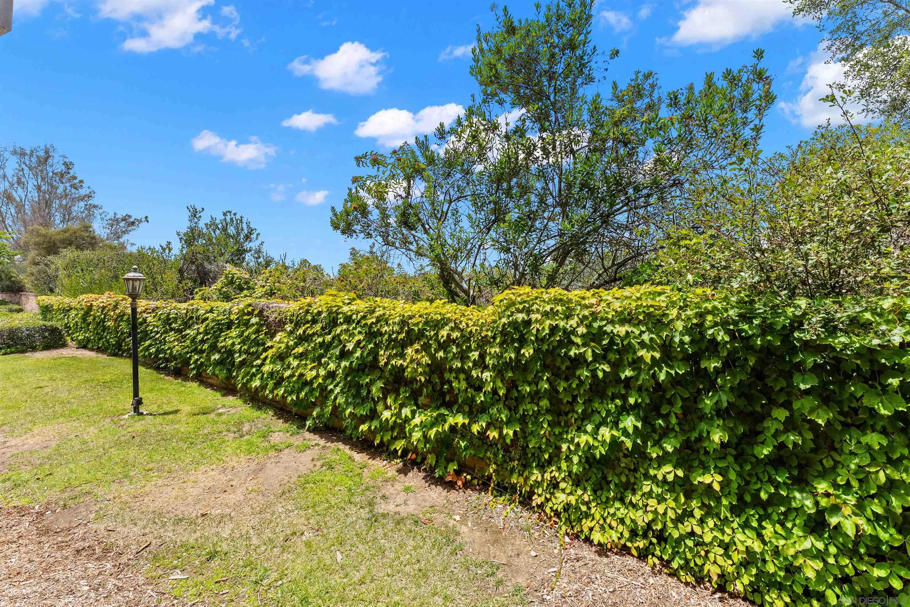 Photo #30: 260016160 Listing: Photo #30