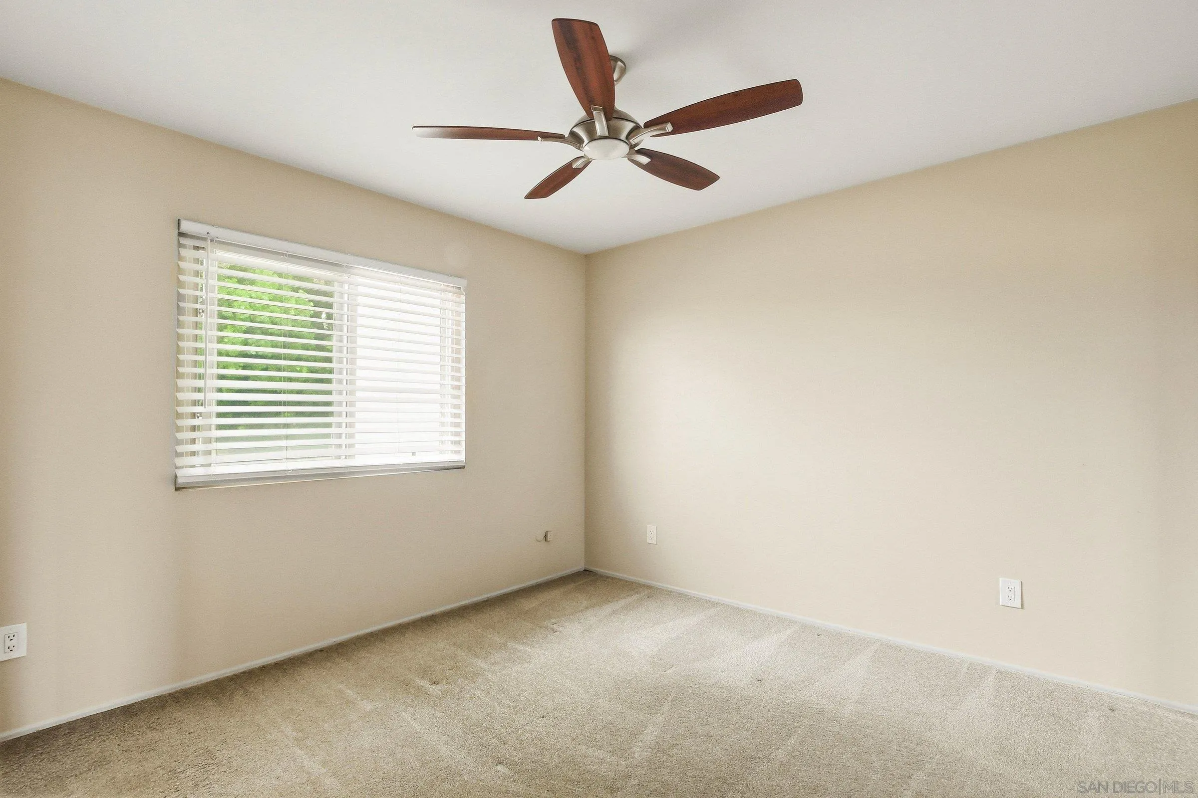 Photo #21: 260016205 Listing: Photo #21