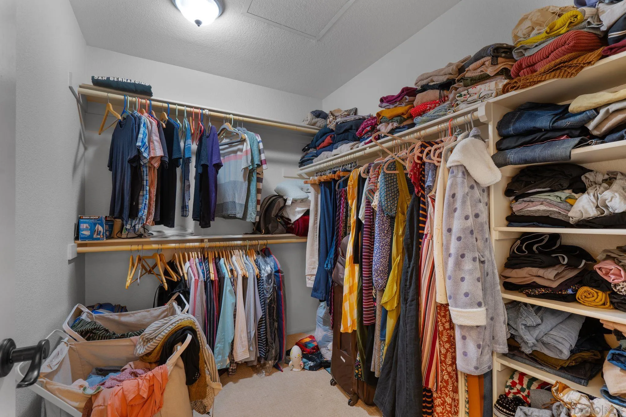 Photo #22: 260016211 Listing: Photo #22