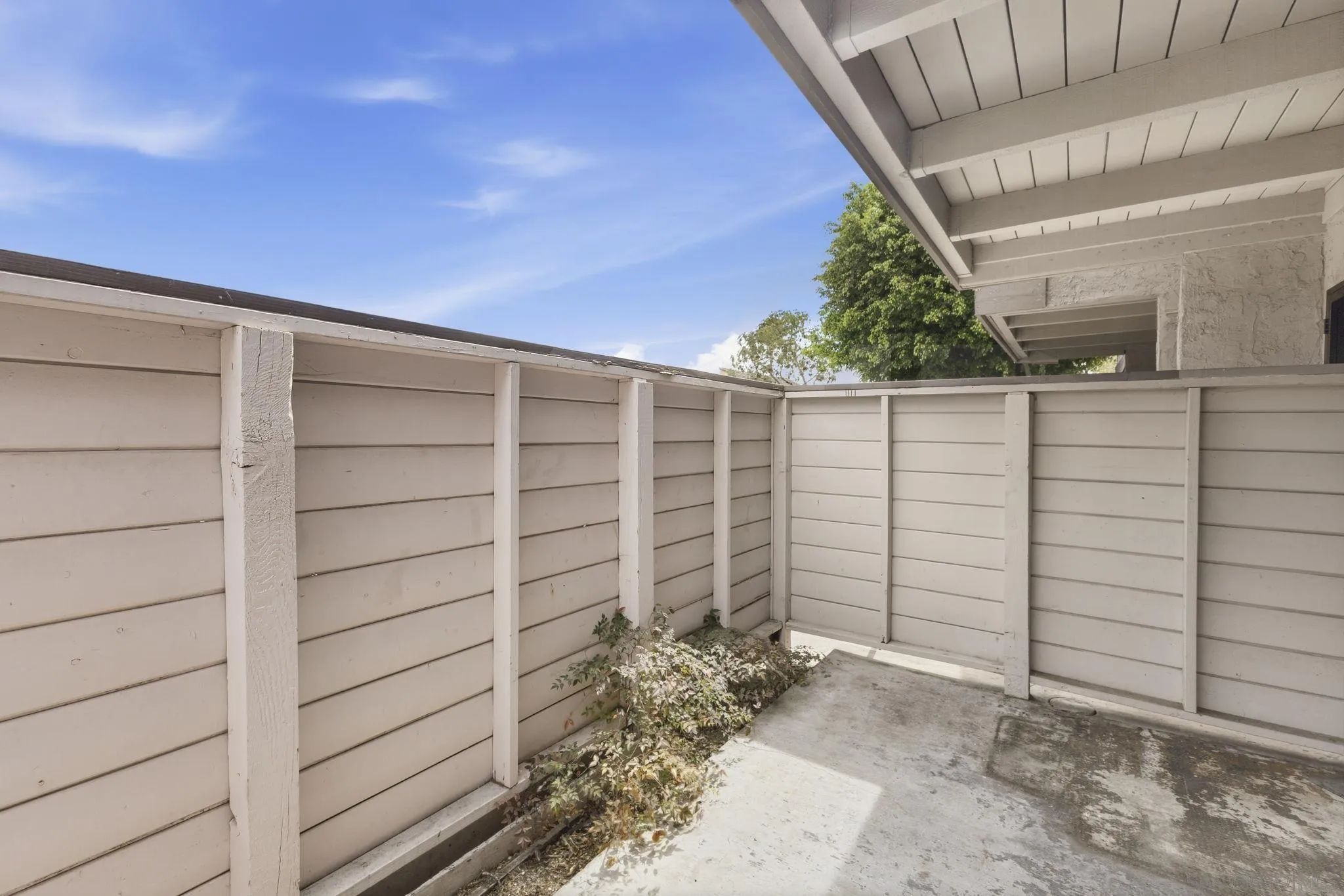 Photo #51: 260016245 Listing: Photo #51