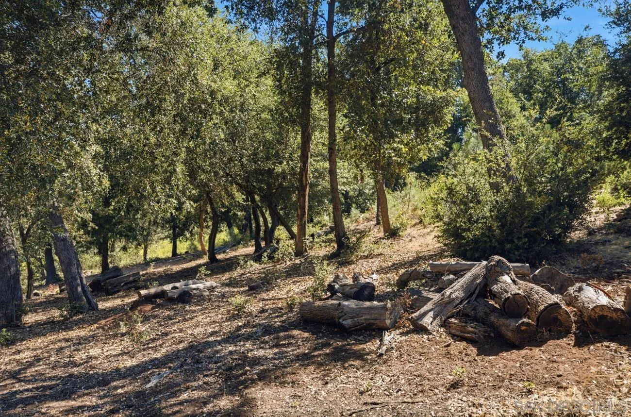 000 Toyan Mountain Lane Unit 14, Julian, CA 92036 - Photo 4 of 15, Julian, CA