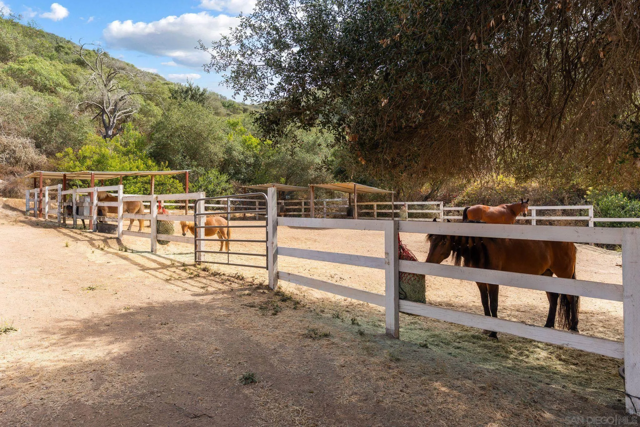 8952 Detwiler Rd, Escondido, CA 92029 - Photo 3 of 20, Escondido, CA