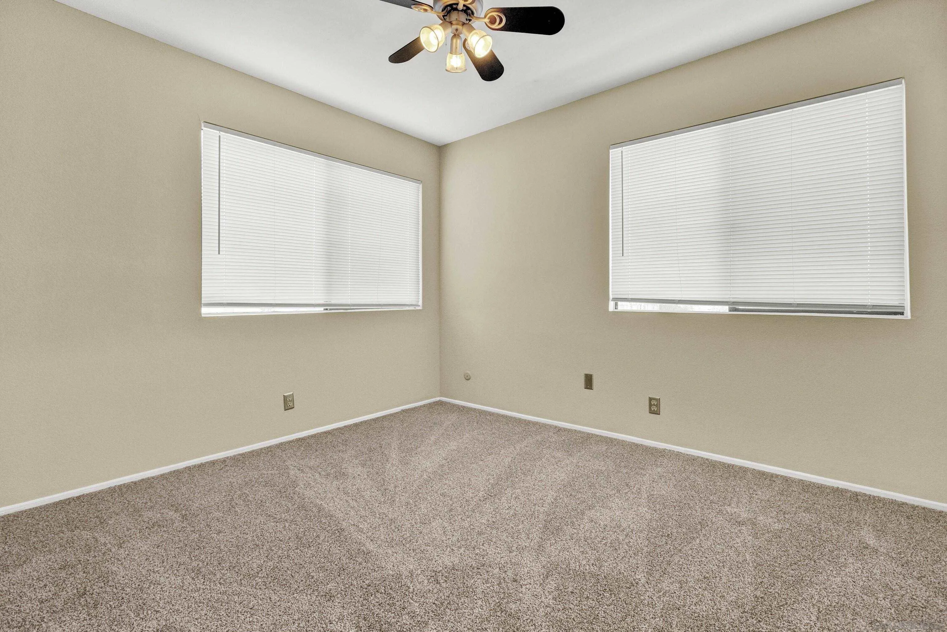 Photo #23: 260016501 Listing: Photo #23