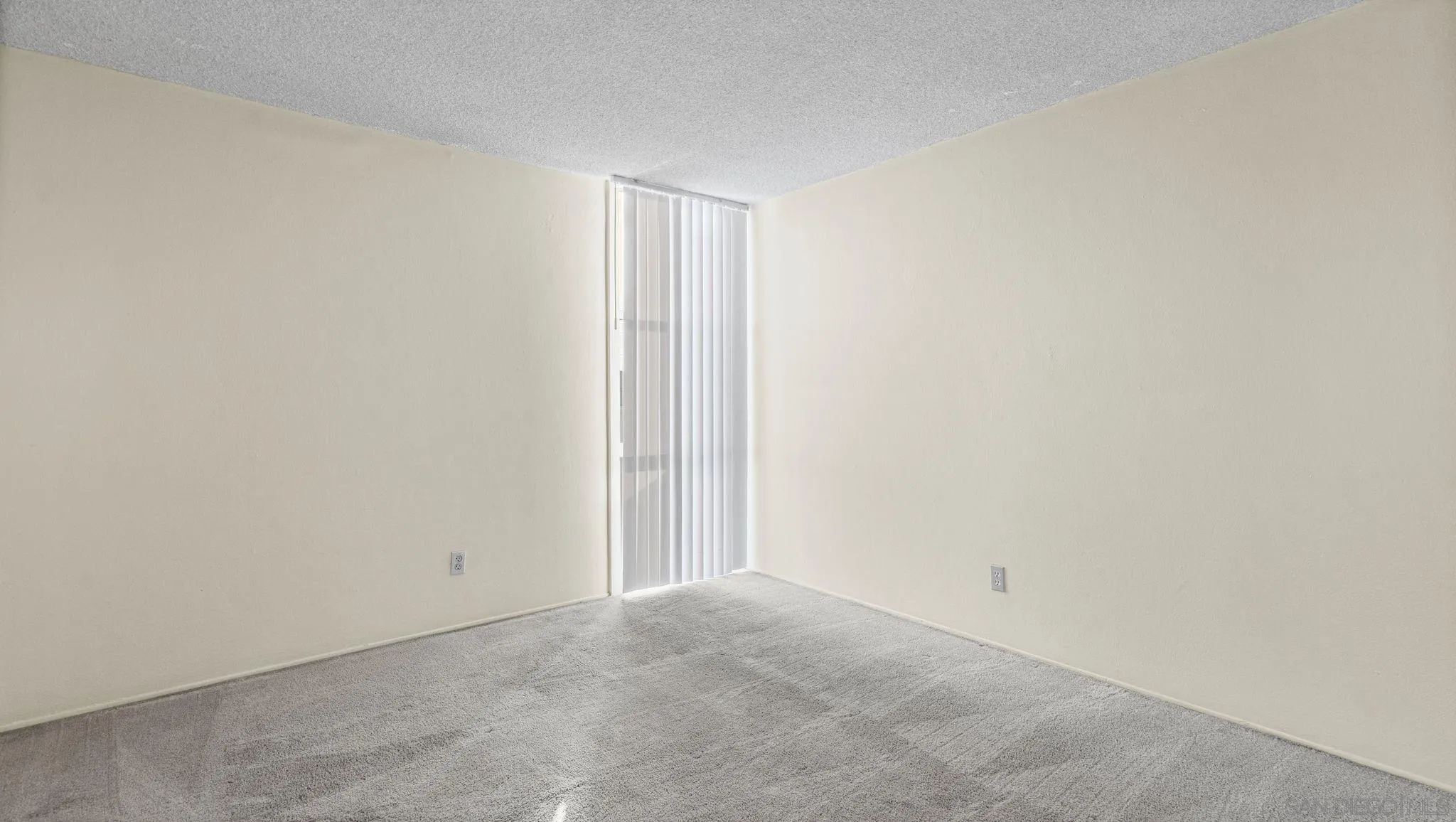 Photo #5: 260016505 Listing: Photo #5