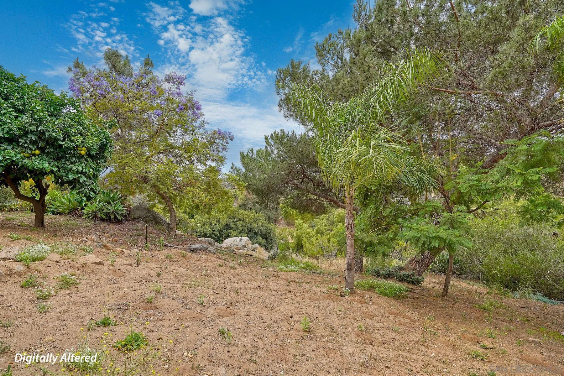 https://cdn.realtyfeed.com/cdn/127/260016532/10b159565d8d129f748d320875610ad8.webp