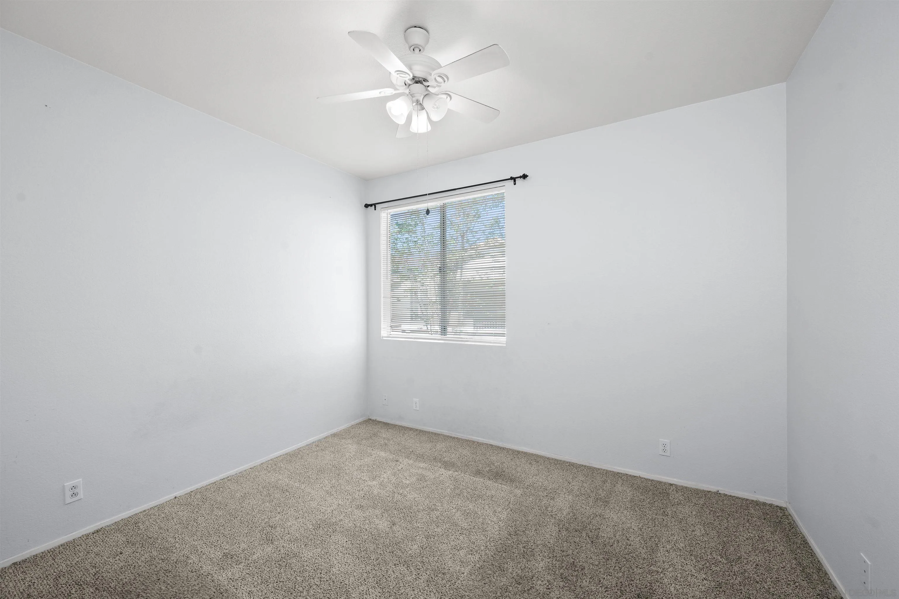 Photo #30: 260016557 Listing: Photo #30