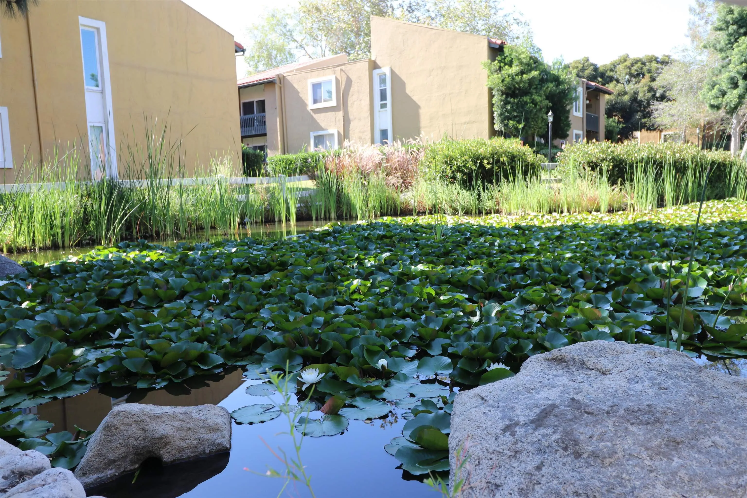 Photo #28: 260016592 Listing: Photo #28