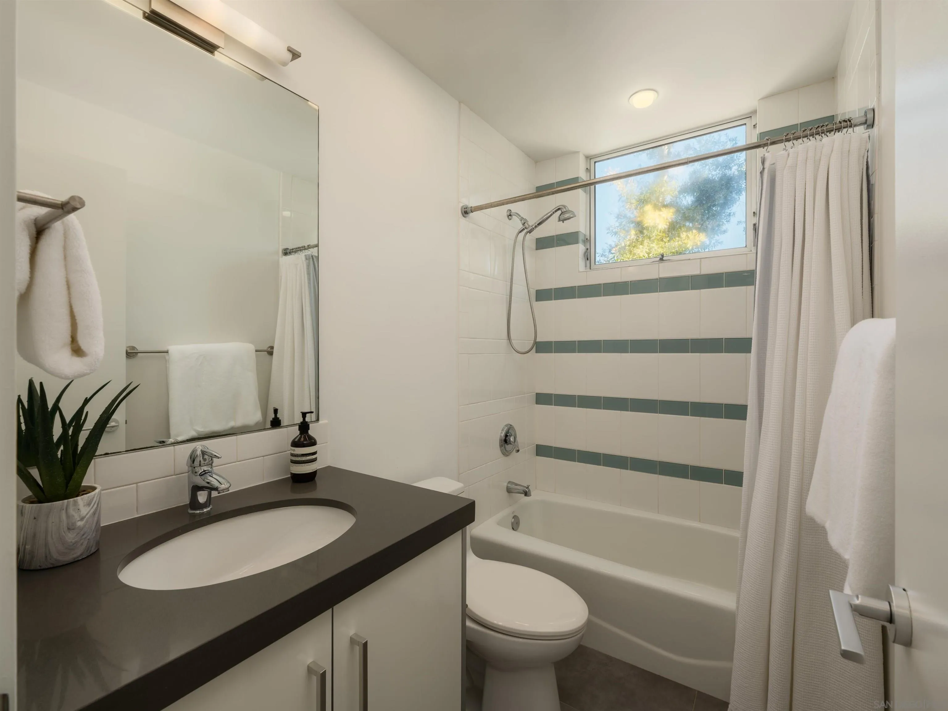 Photo #26: 260016601 Listing: Photo #26