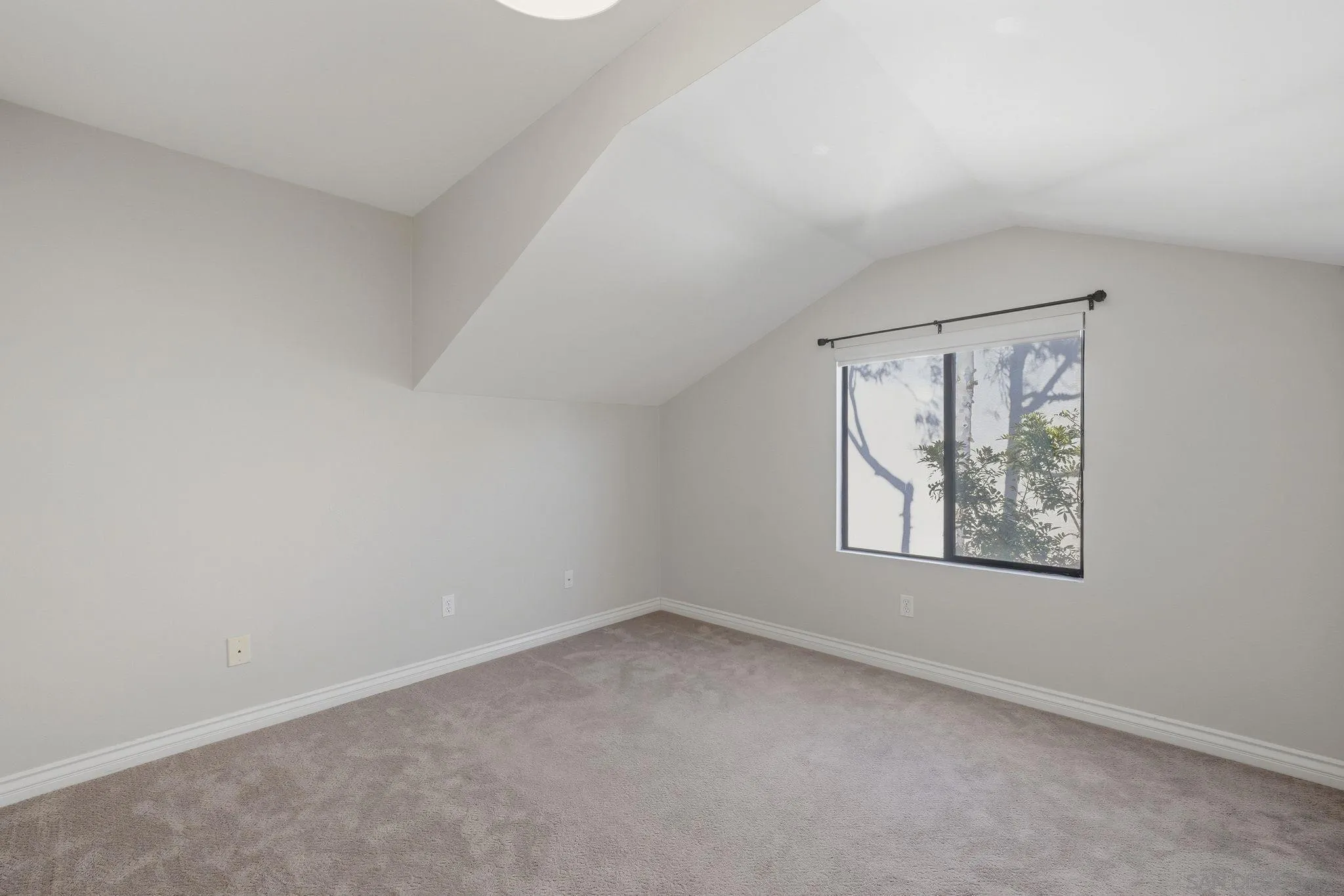 Photo #31: 260016642 Listing: Photo #31
