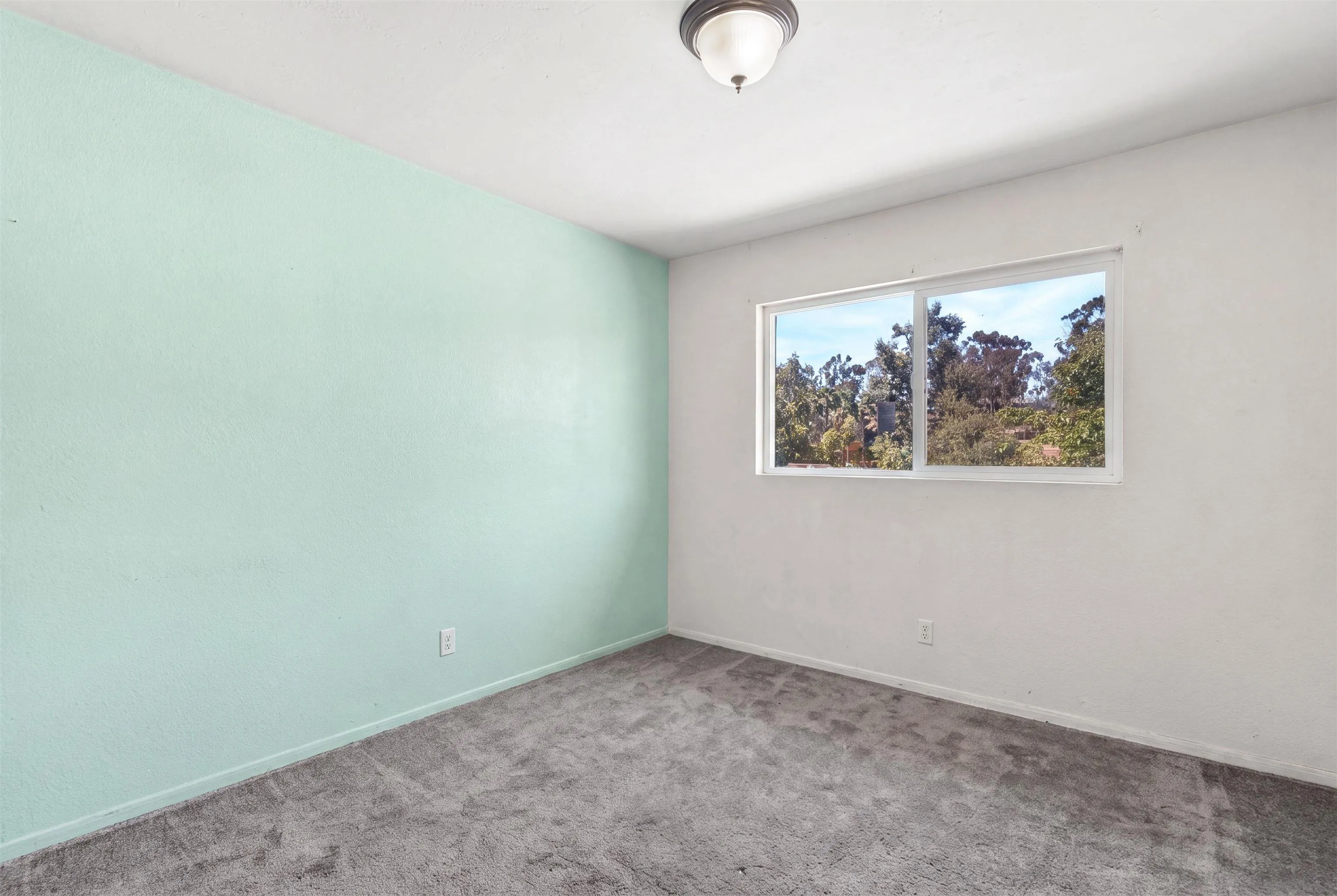 Photo #24: 260016793 Listing: Photo #24