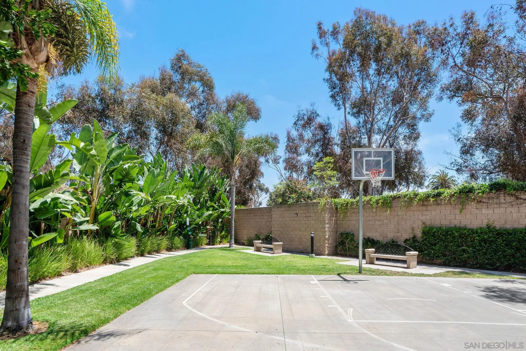 Photo #39: 260016801 Listing: Photo #39