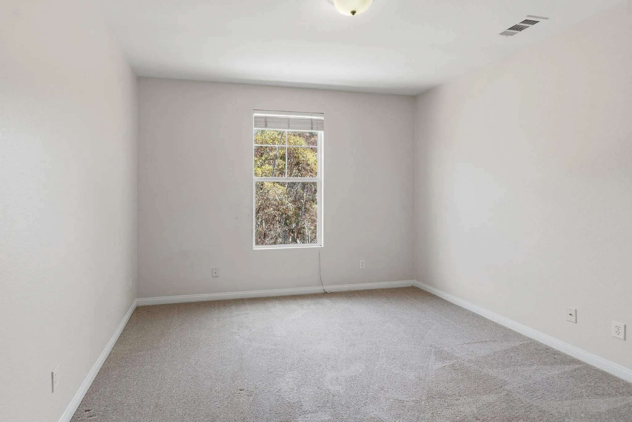 Photo #29: 260016801 Listing: Photo #29
