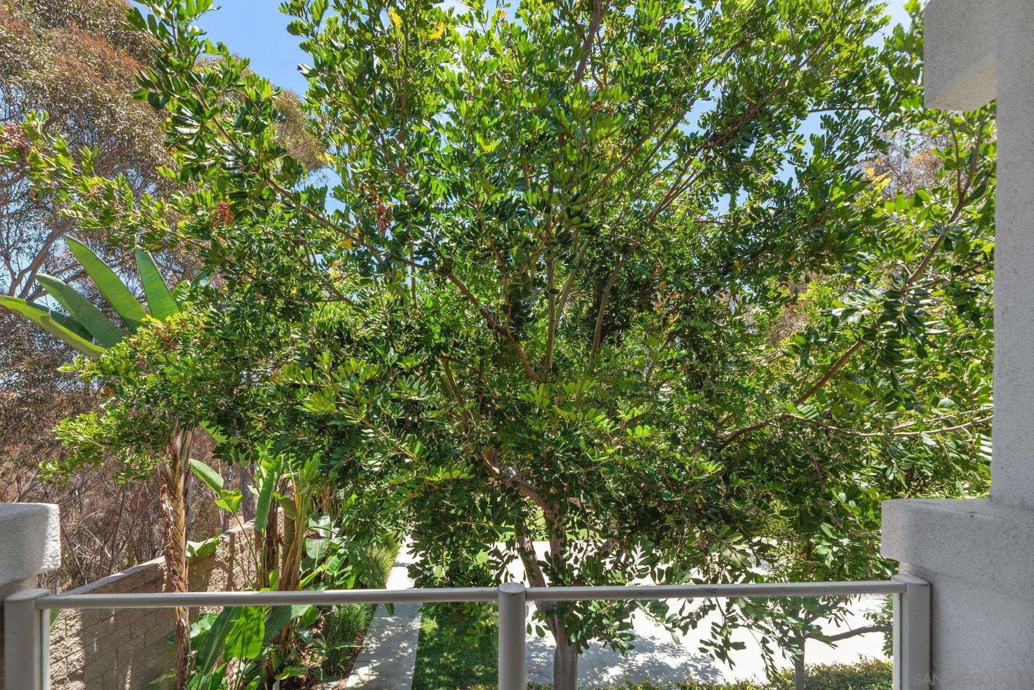 Photo #27: 260016801 Listing: Photo #27