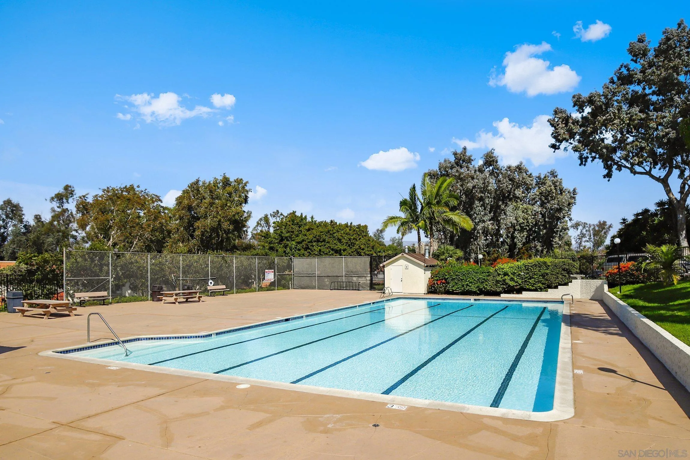 Photo #37: 260016893 Listing: Photo #37