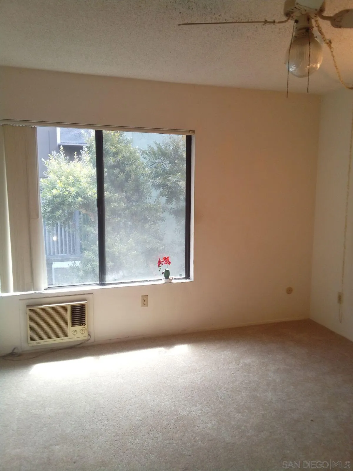 Photo #7: 260016951 Listing: Photo #7