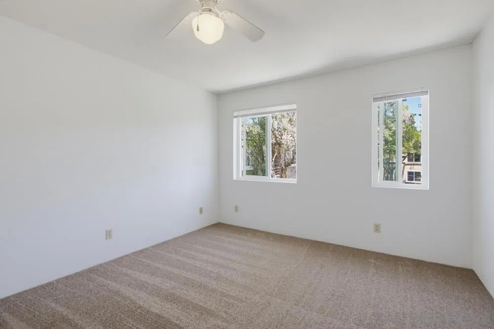 Photo #15: 260016992 Listing: Photo #15