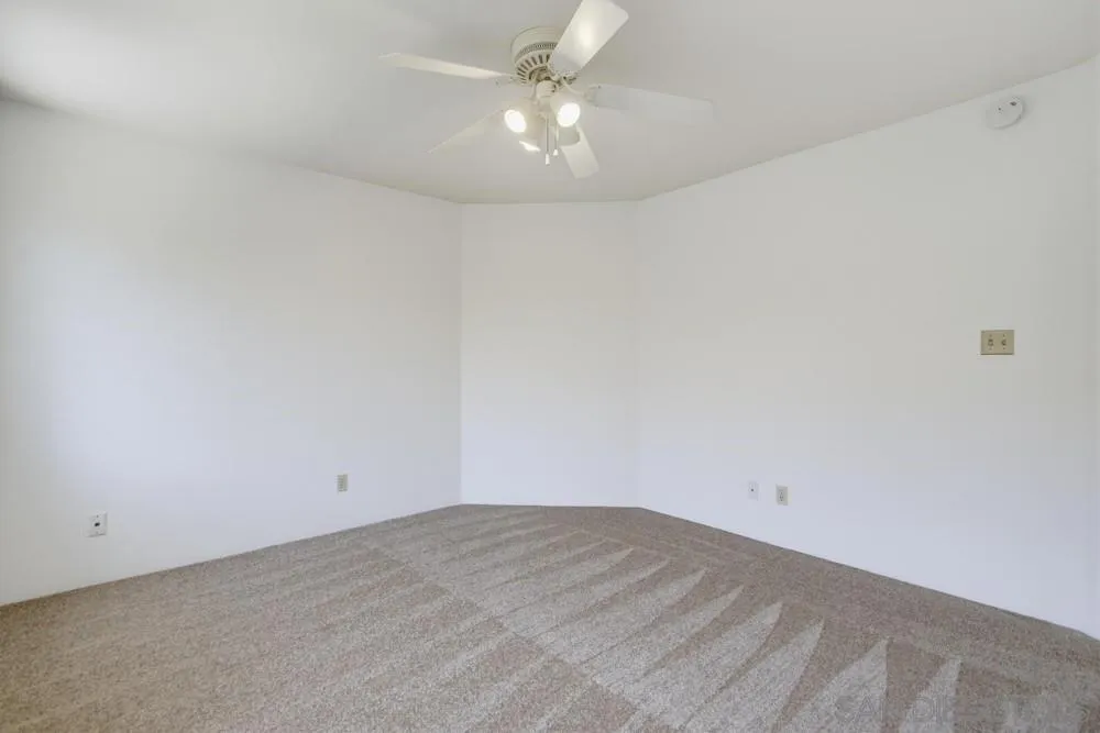 Photo #22: 260016992 Listing: Photo #22