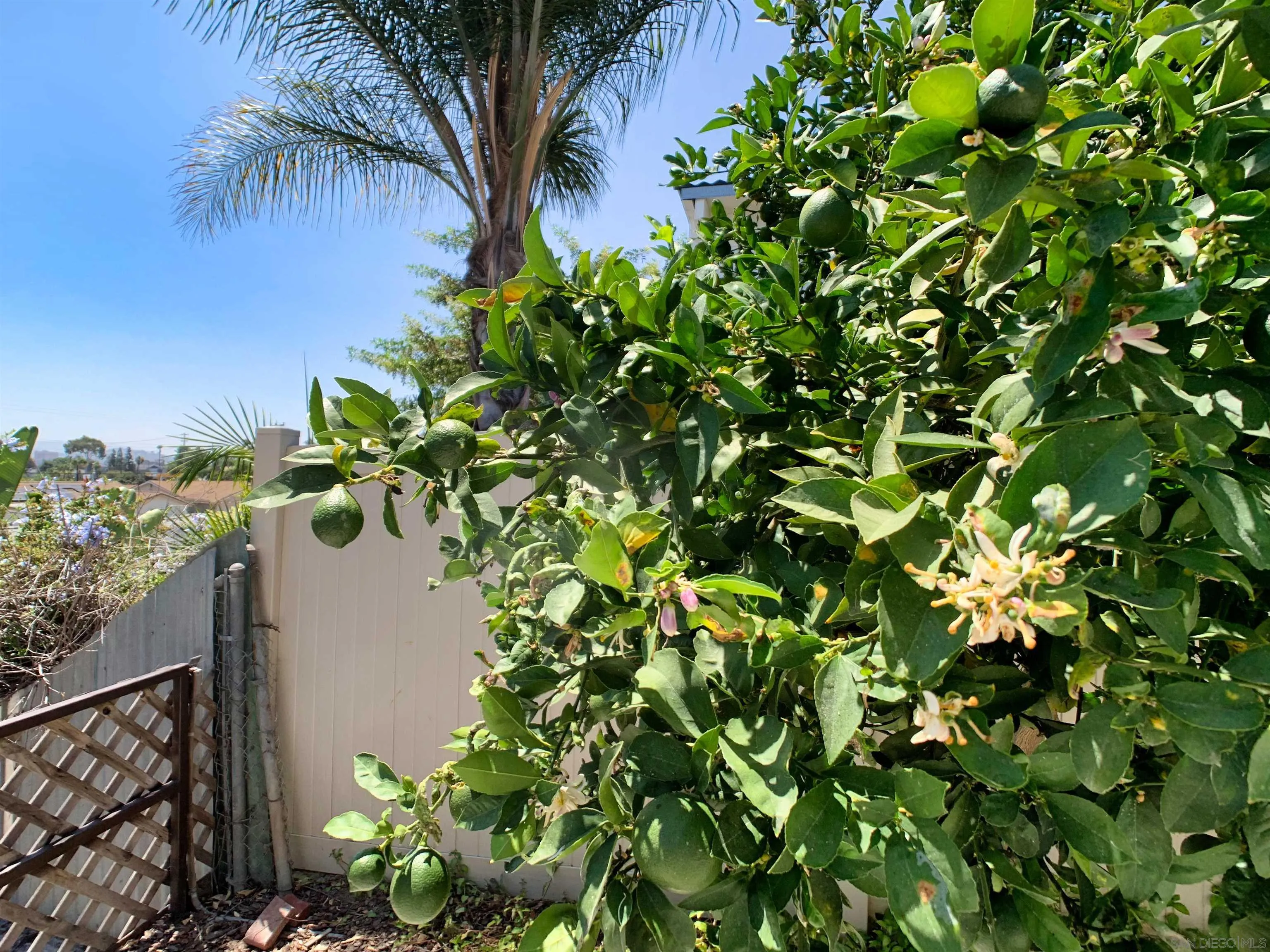 https://cdn.realtyfeed.com/cdn/127/260017095/ba976363e68a7e03b152a7115039b2ff.webp