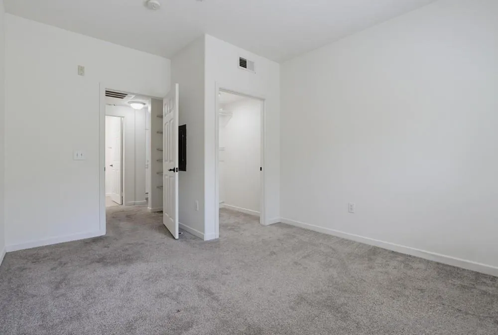 Photo #10: 260017580 Listing: Photo #10