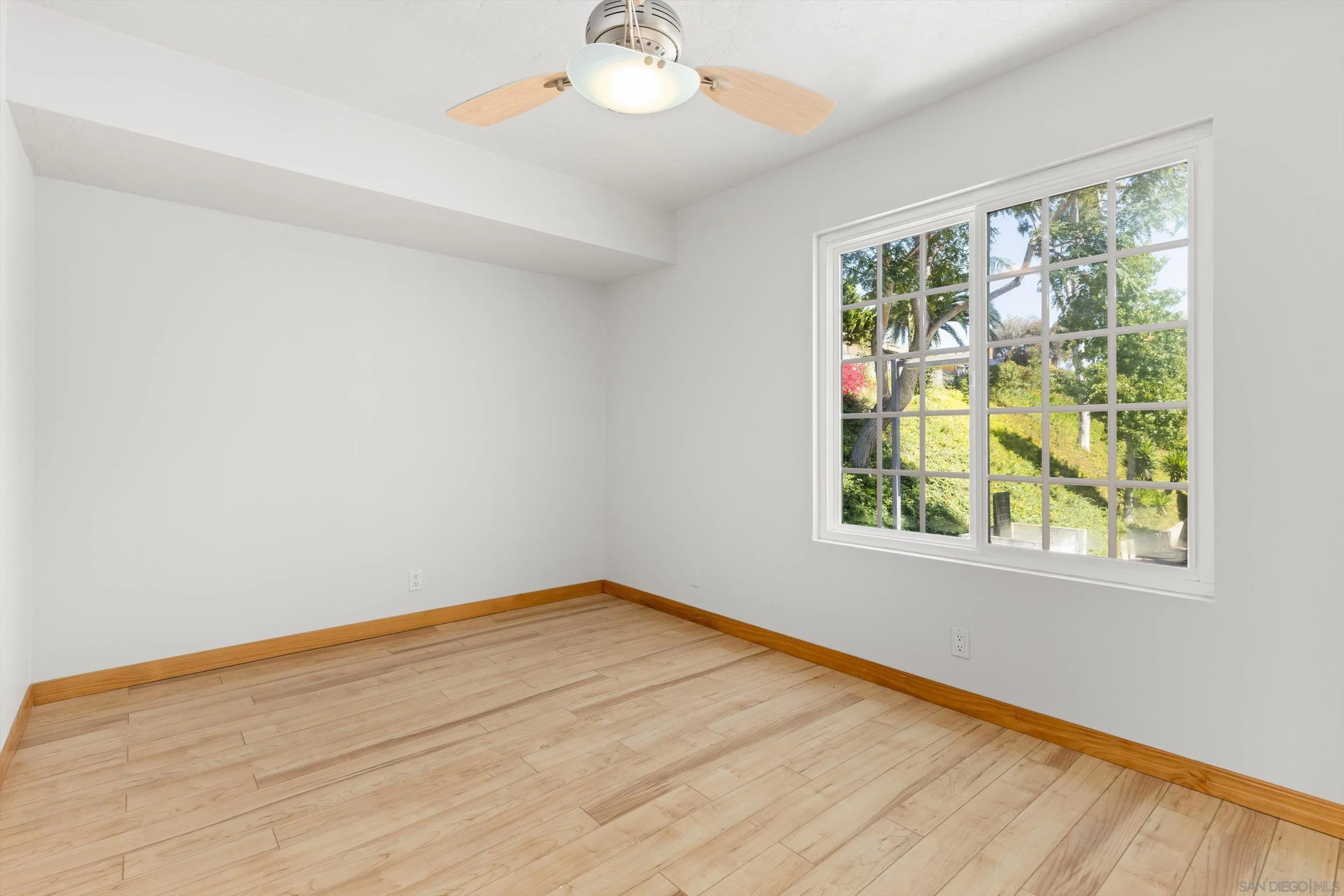 Photo #11: 260017670 Listing: Photo #11