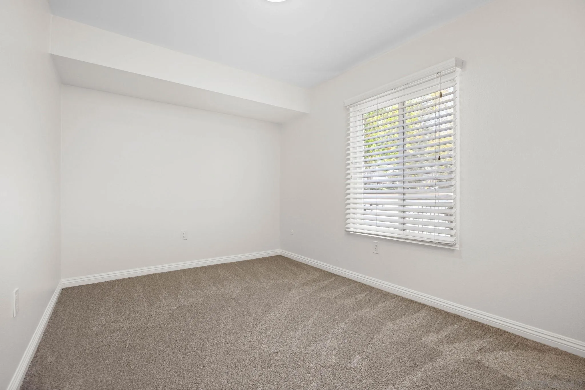 Photo #22: 260017828 Listing: Photo #22