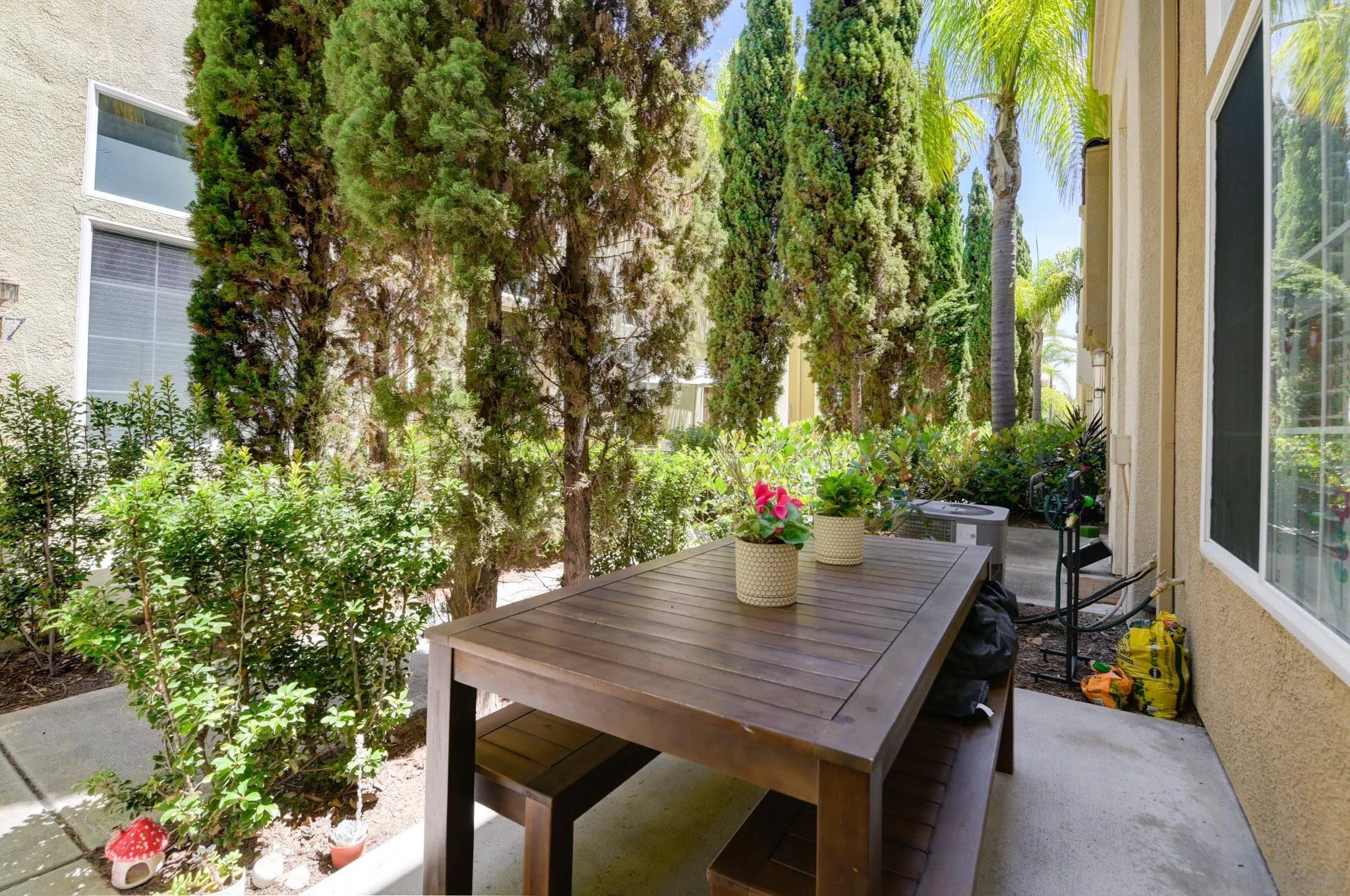 Photo #20: 260017979 Listing: Photo #20
