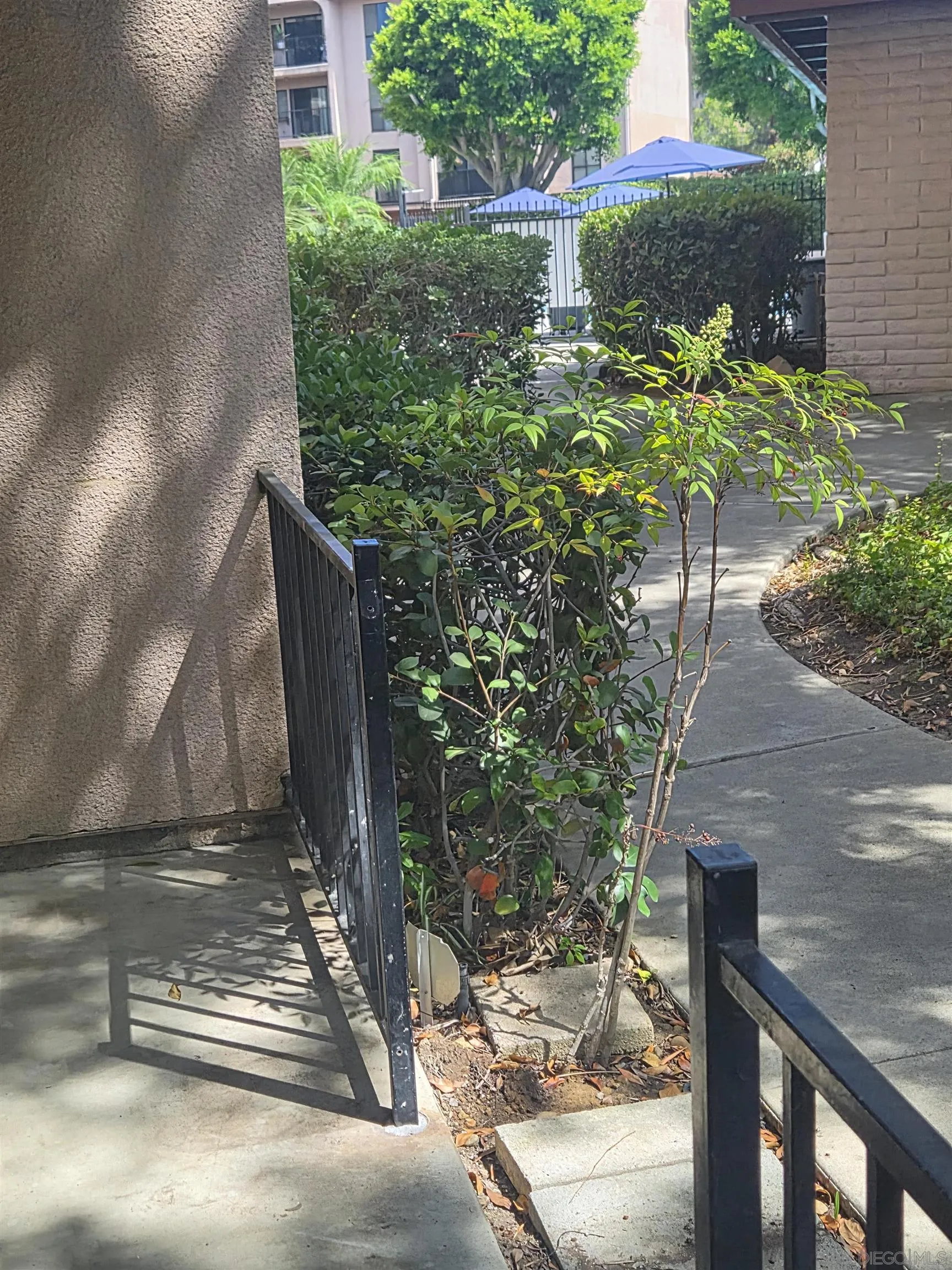 Photo #14: 260018306 Listing: Photo #14