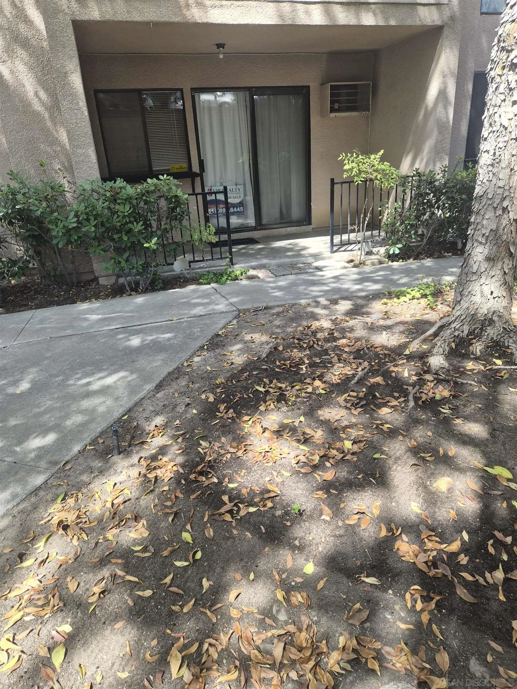 Photo #12: 260018306 Listing: Photo #12