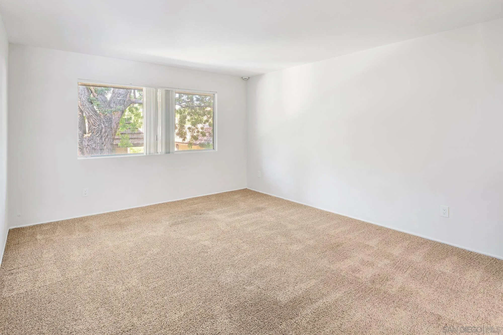 Photo #20: 260018315 Listing: Photo #20
