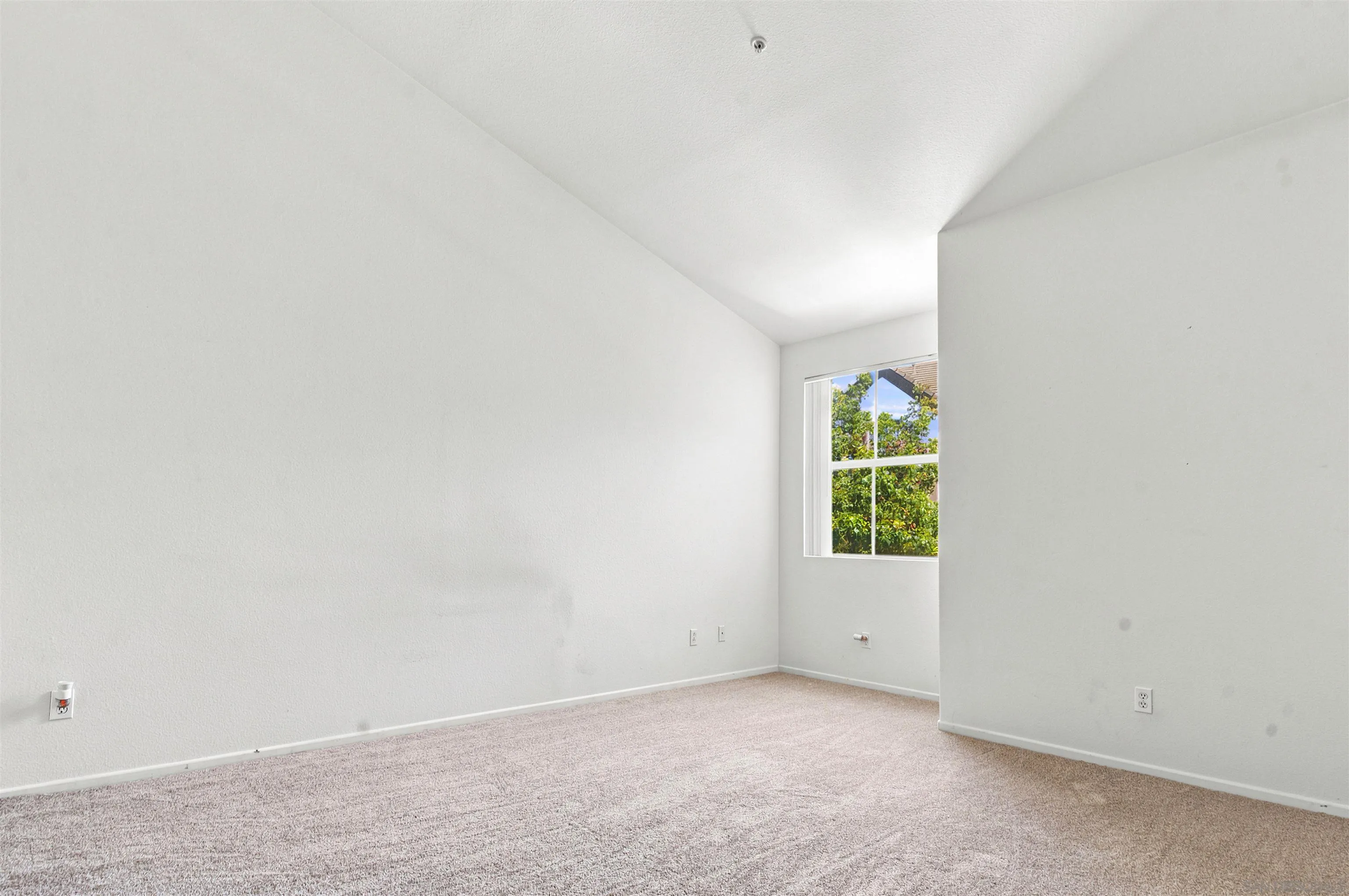 Photo #17: 260018391 Listing: Photo #17