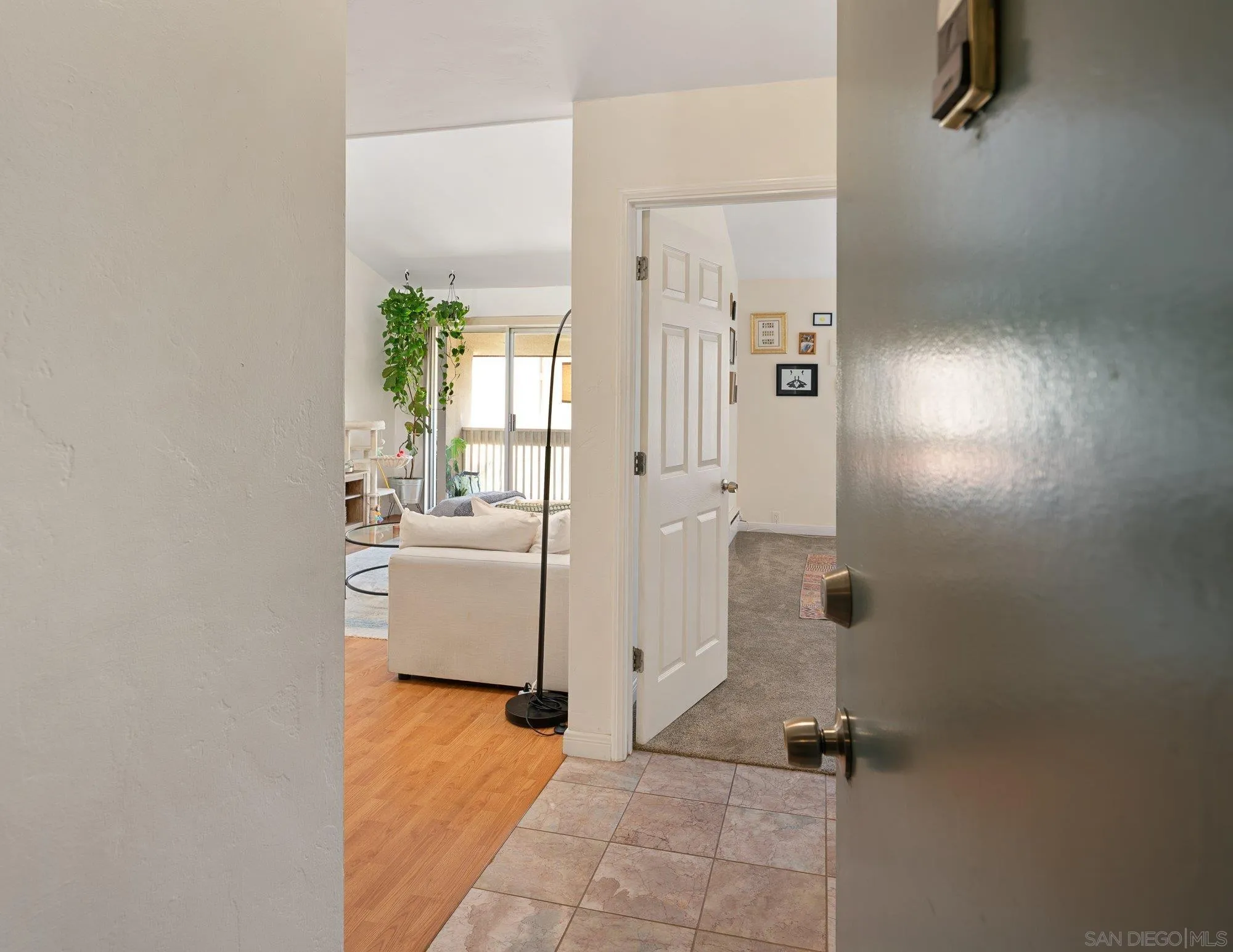 Photo #5: 260018651 Listing: Photo #5