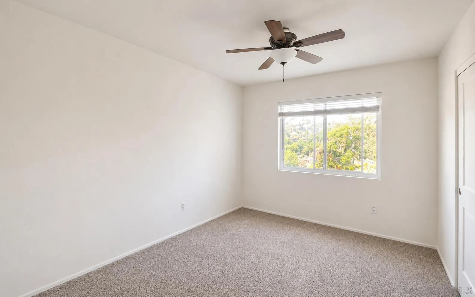 Photo #21: 260018733 Listing: Photo #21