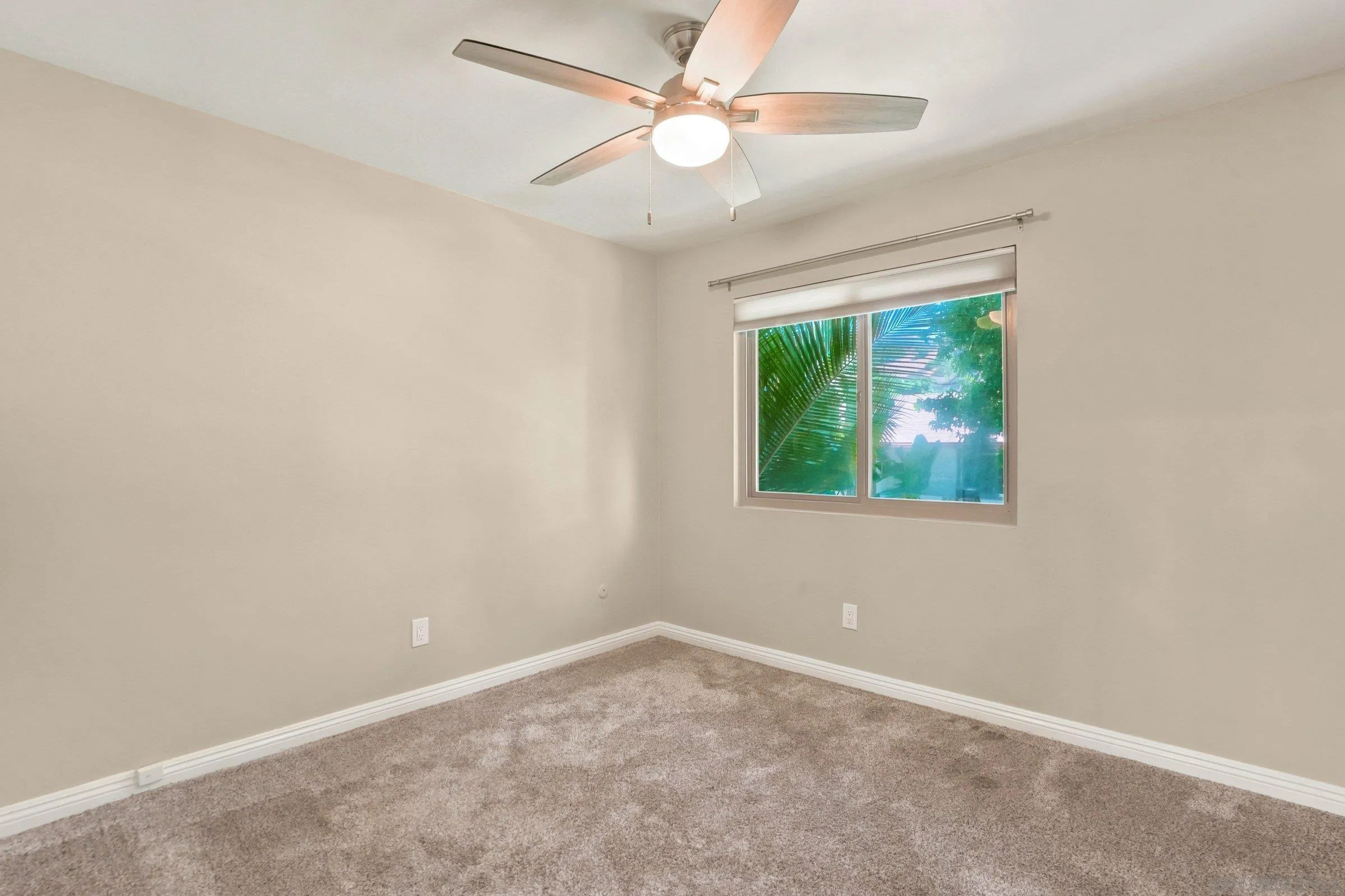 Photo #16: 260018769 Listing: Photo #16