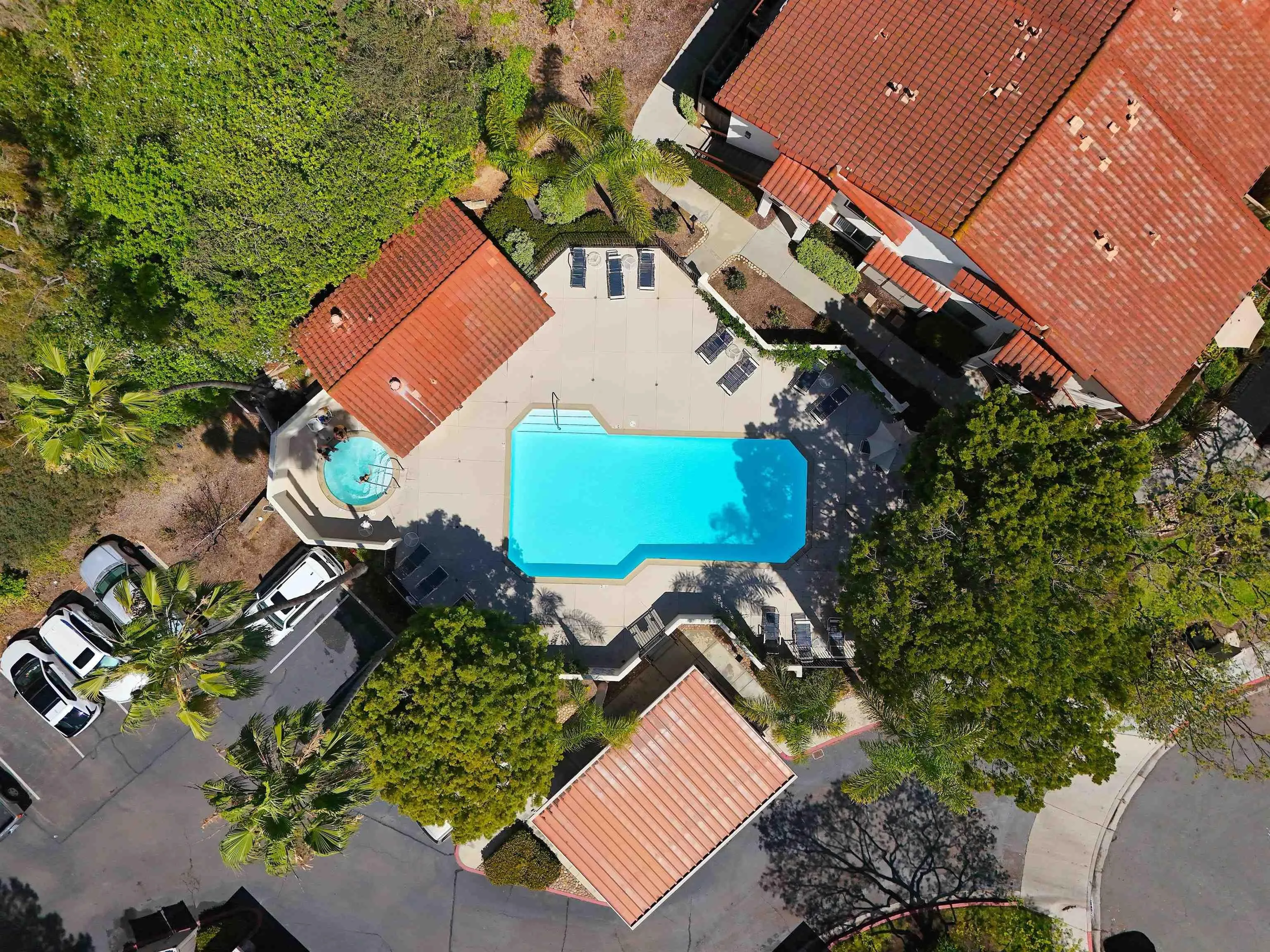 Photo #36: 260018896 Listing: Photo #36