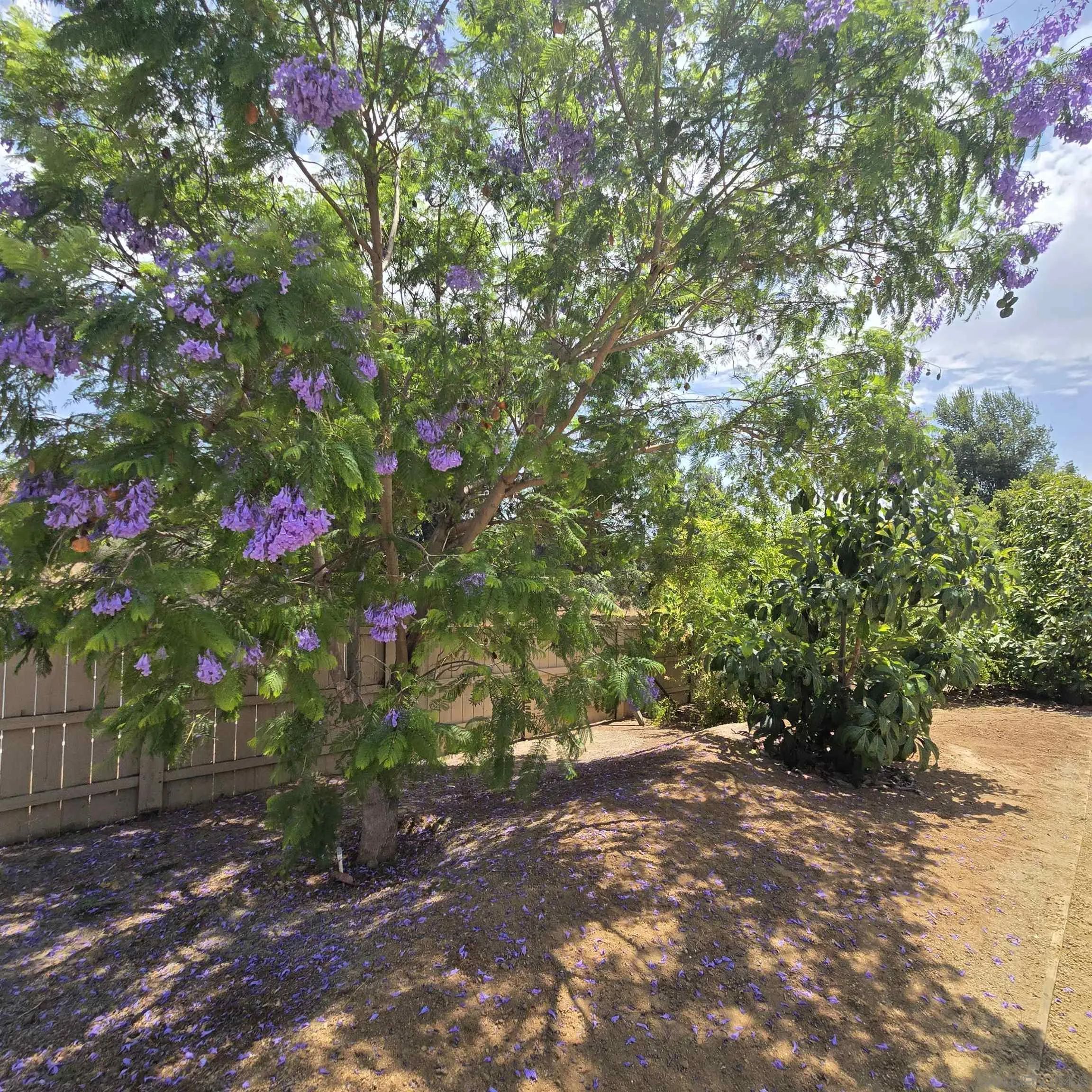 https://cdn.realtyfeed.com/cdn/127/260019058/17d227adaaf94c2213273bc6688f7b3f.webp