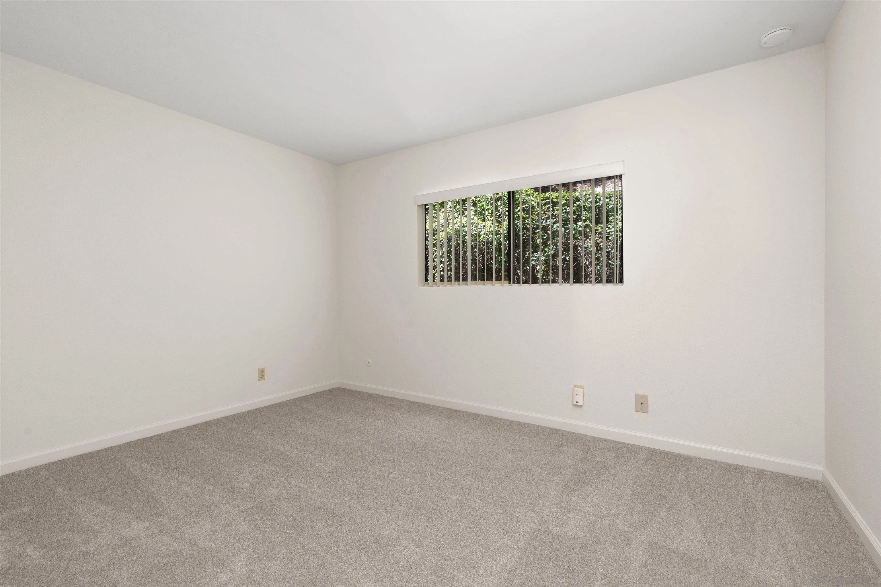Photo #33: 260019077 Listing: Photo #33