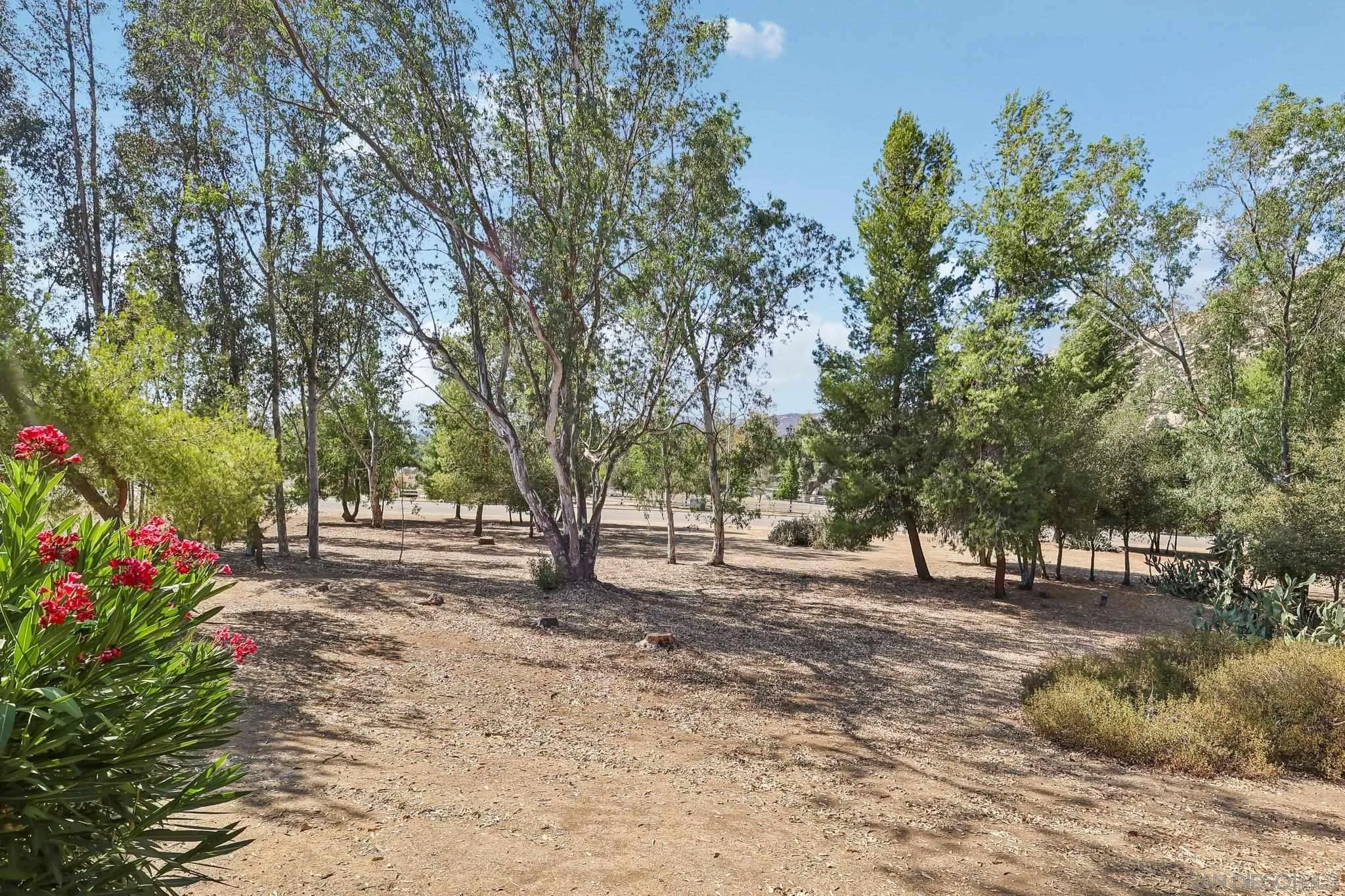 Photo #25: 260019128 Listing: Photo #25