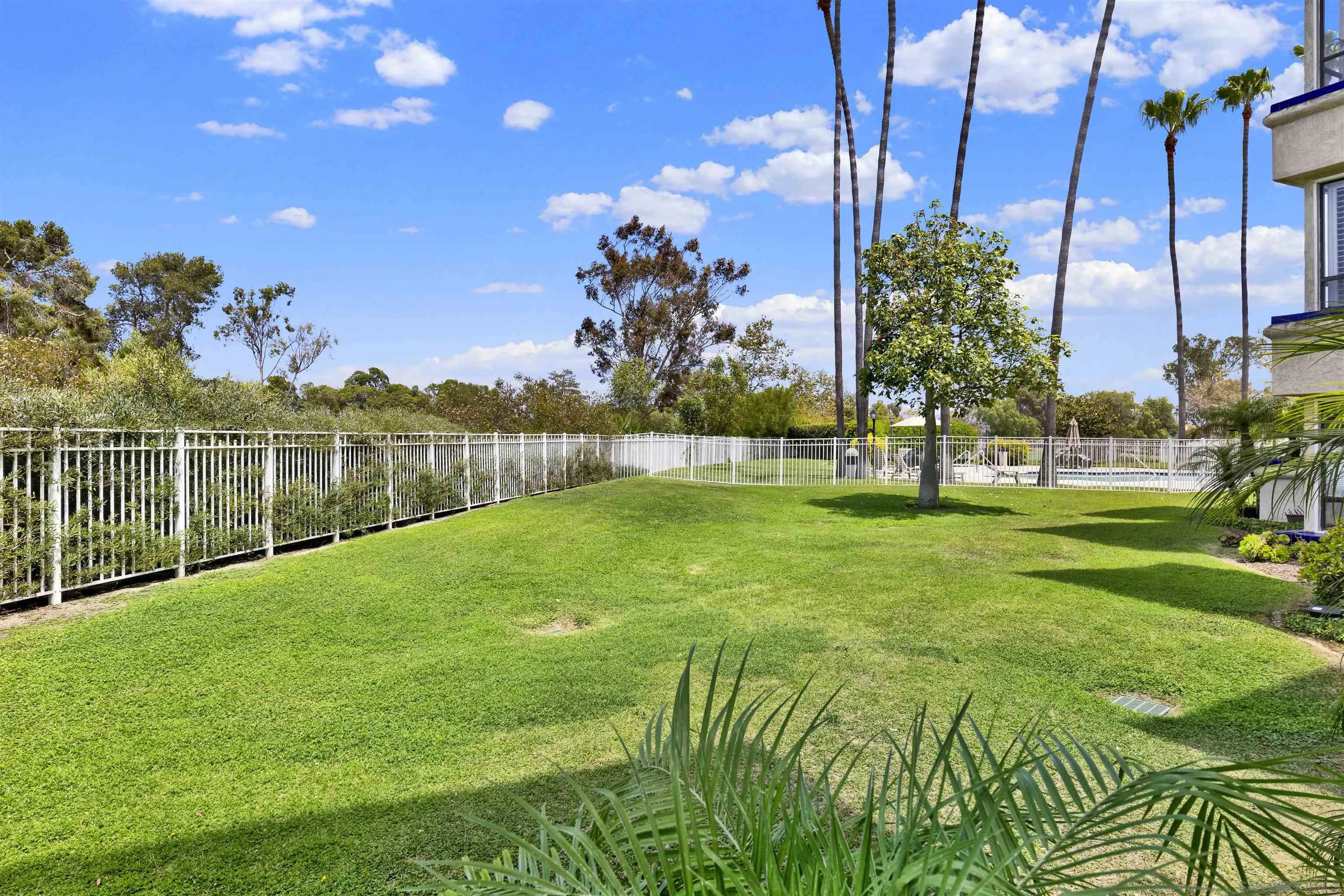 Photo #16: 260019219 Listing: Photo #16
