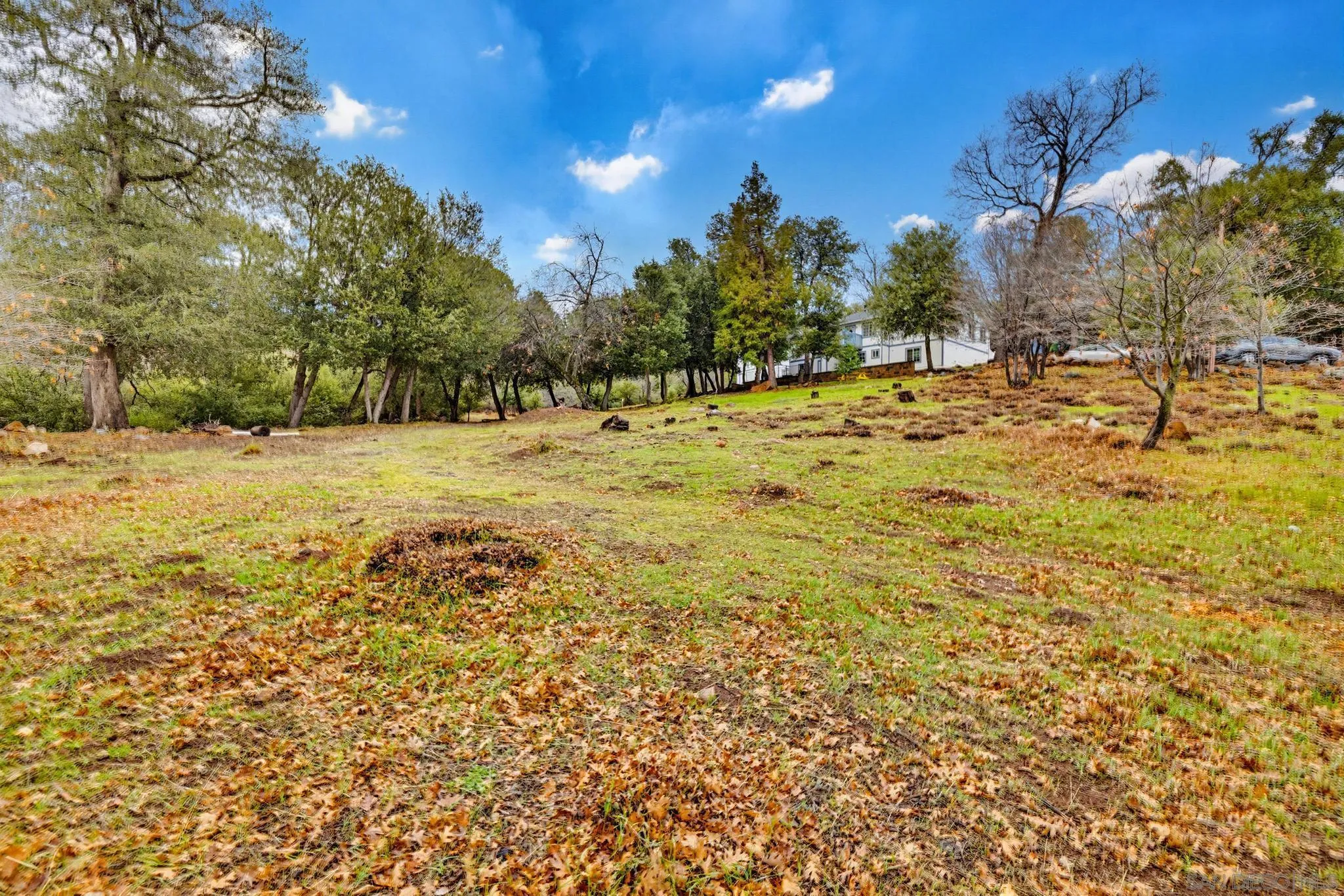 https://cdn.realtyfeed.com/cdn/127/260019283/99eb5971f26677685f83de044a9f5c3e.webp