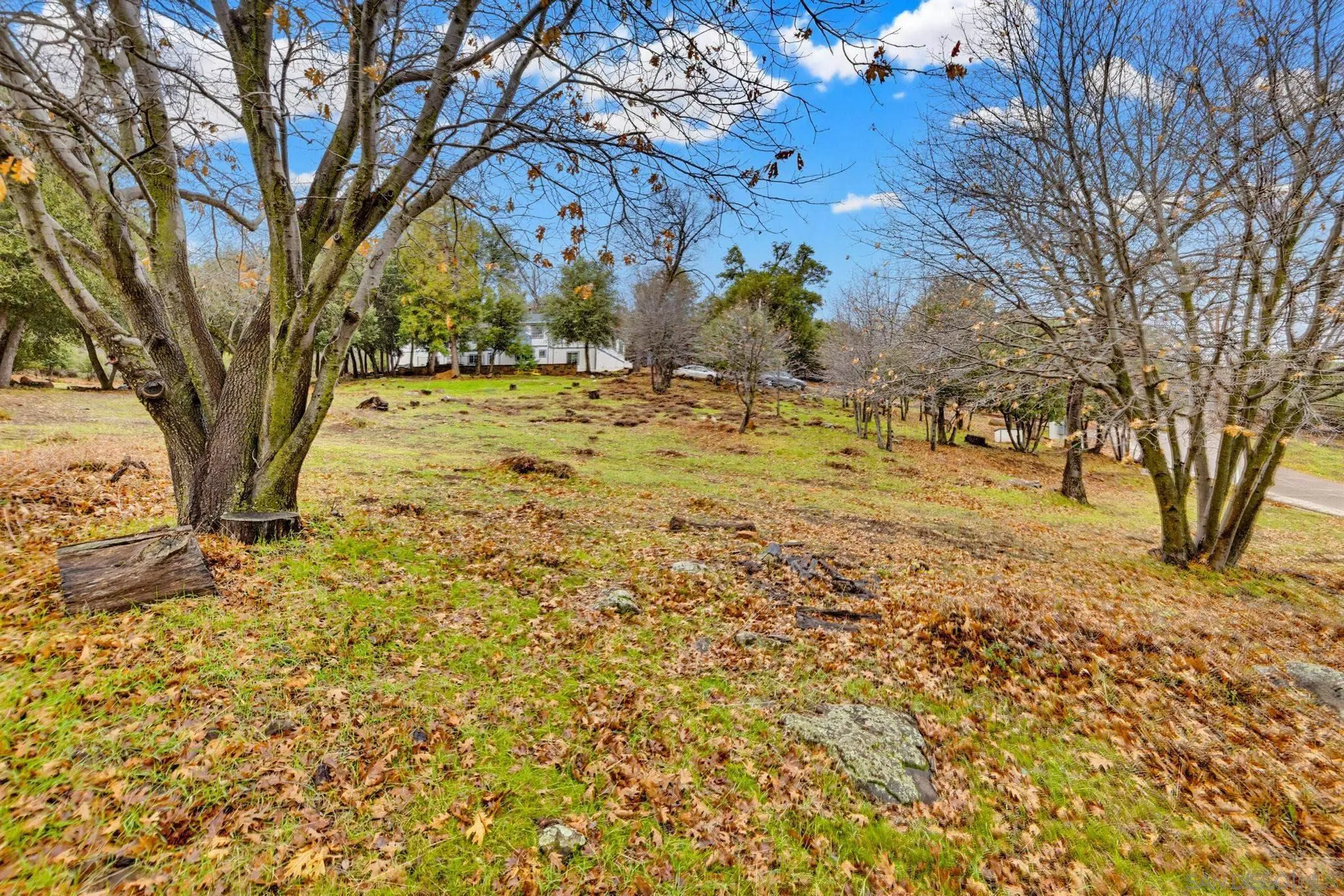 https://cdn.realtyfeed.com/cdn/127/260019283/c153779e9444f17f008c17af598c1050.webp