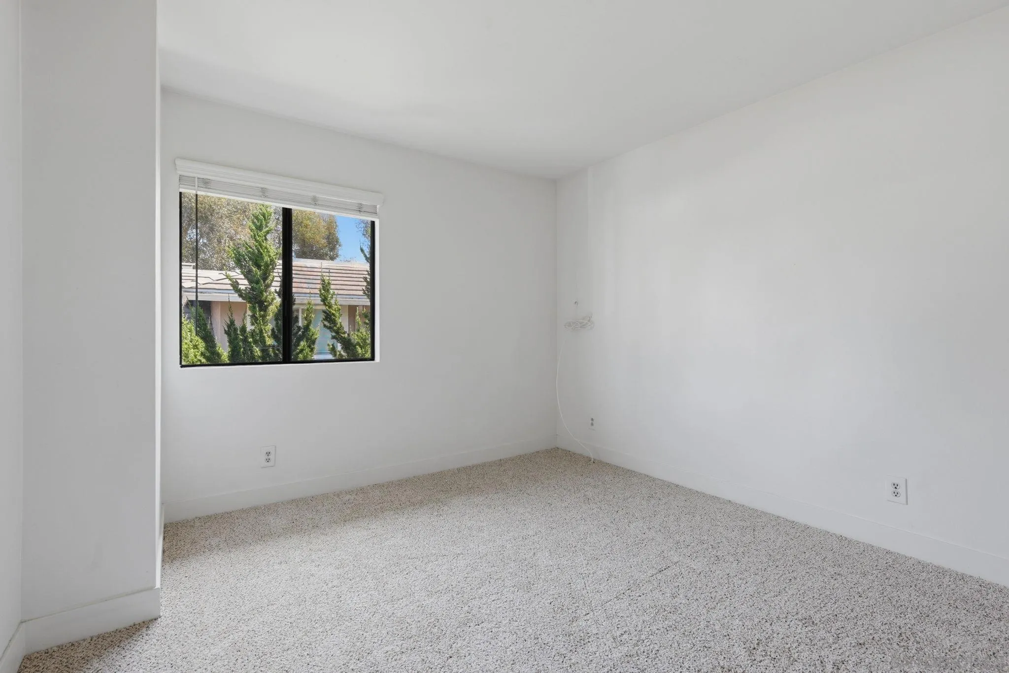 Photo #26: 260019317 Listing: Photo #26