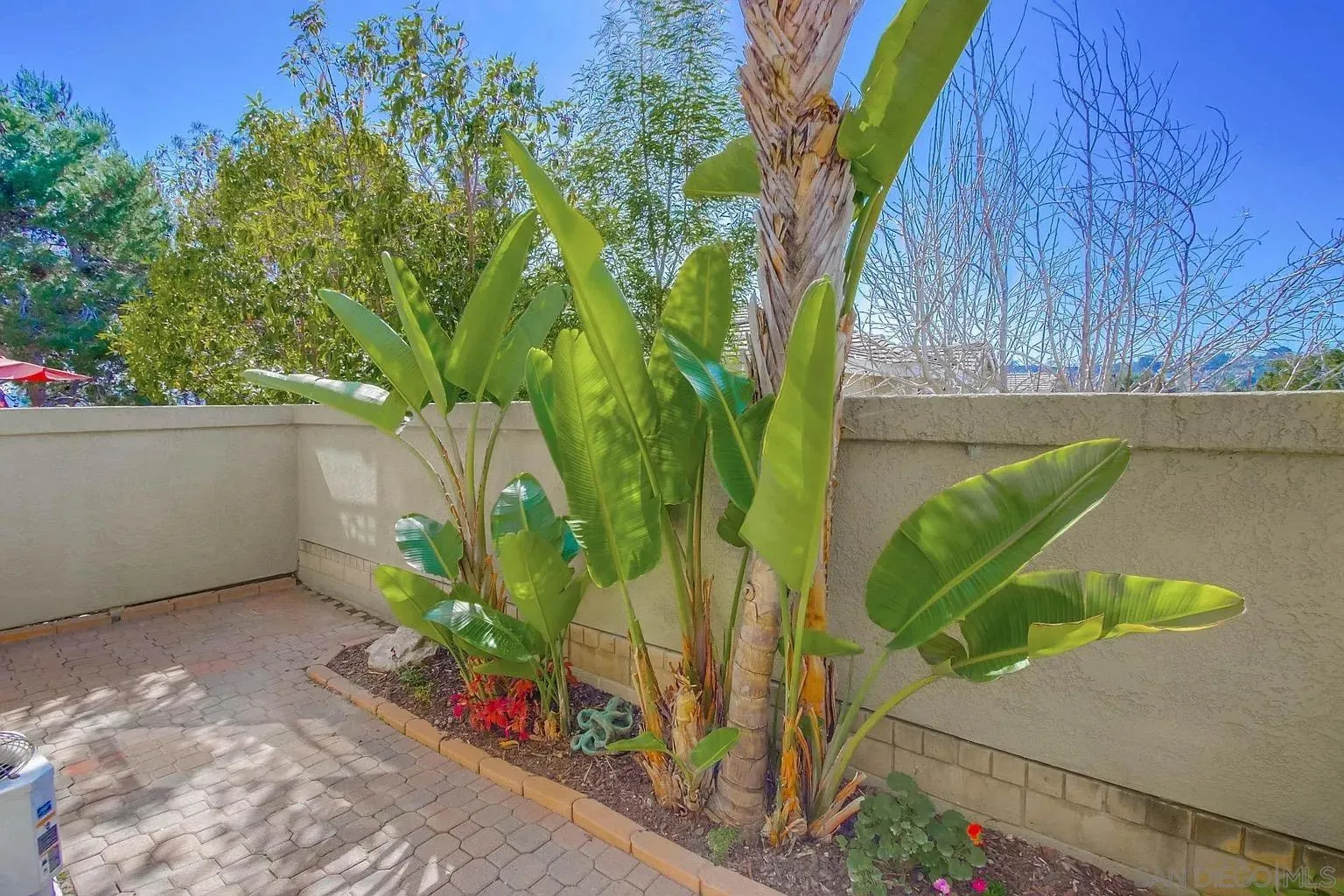Photo #34: 260019318 Listing: Photo #34