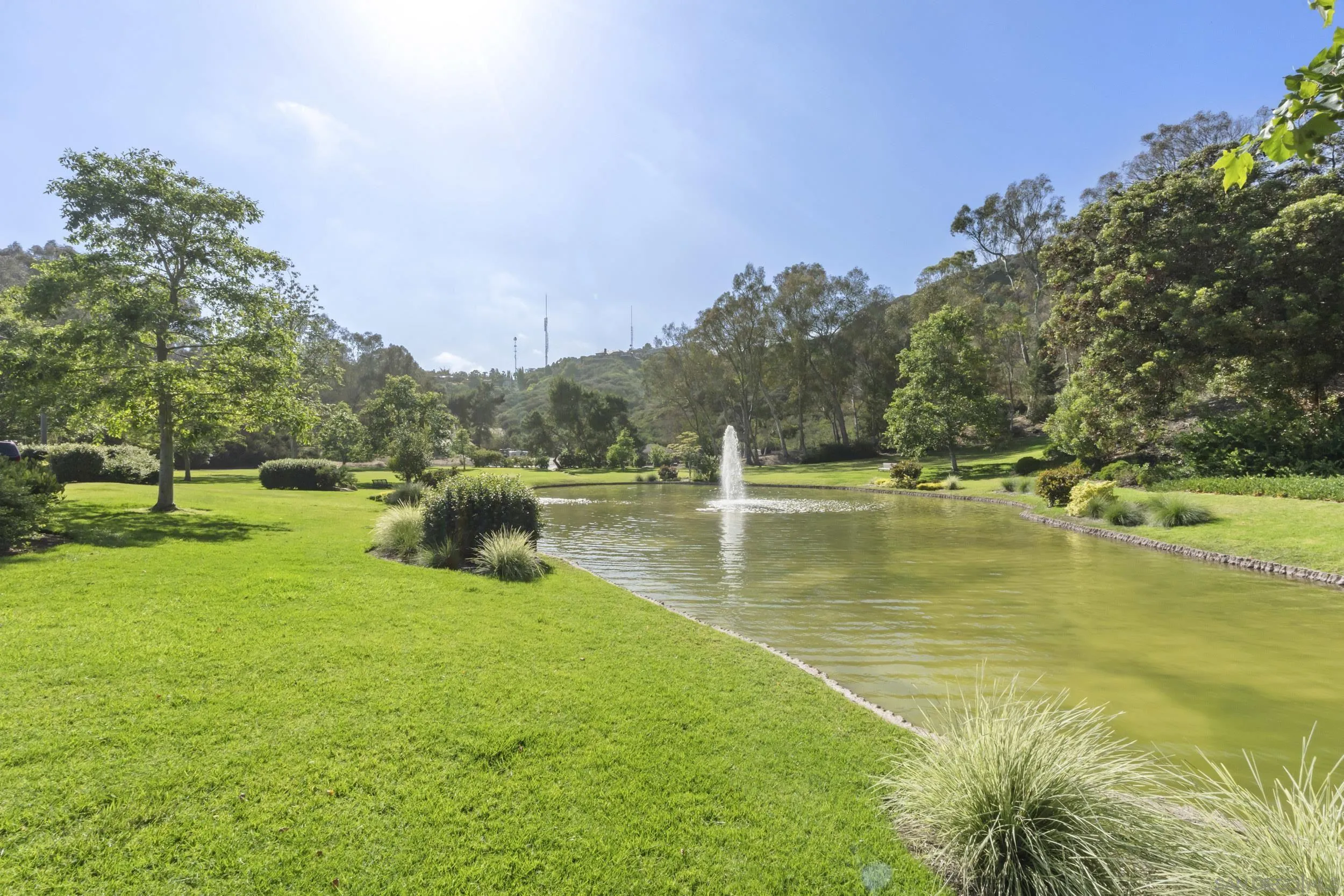Photo #37: 260019342 Listing: Photo #37