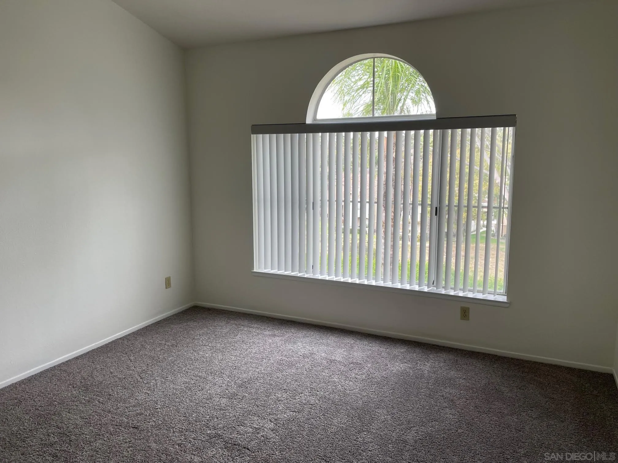 Photo #8: 260019373 Listing: Photo #8