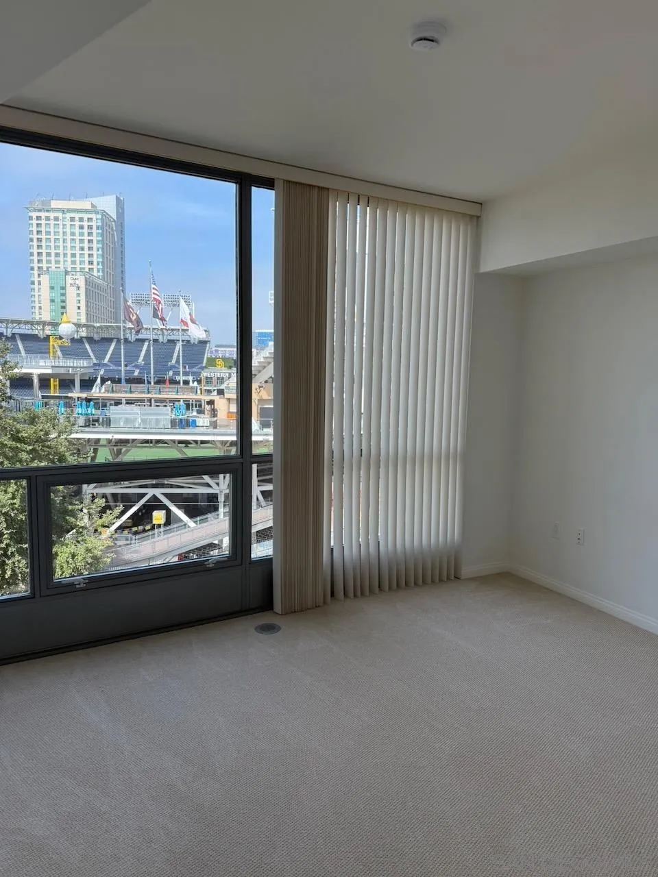 Photo #7: 260019556 Listing: Photo #7